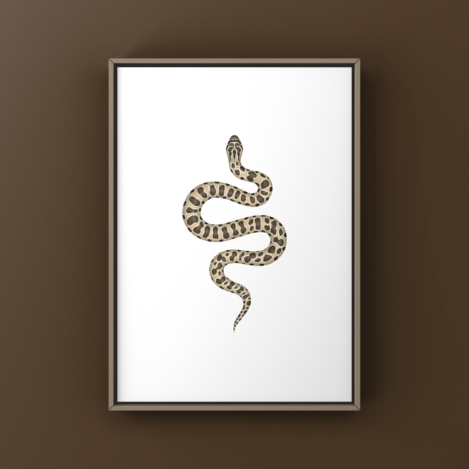 Western Hognose Snake art print by The Silk Ranch, showcasing detailed illustration of the Heterodon nasicus species.