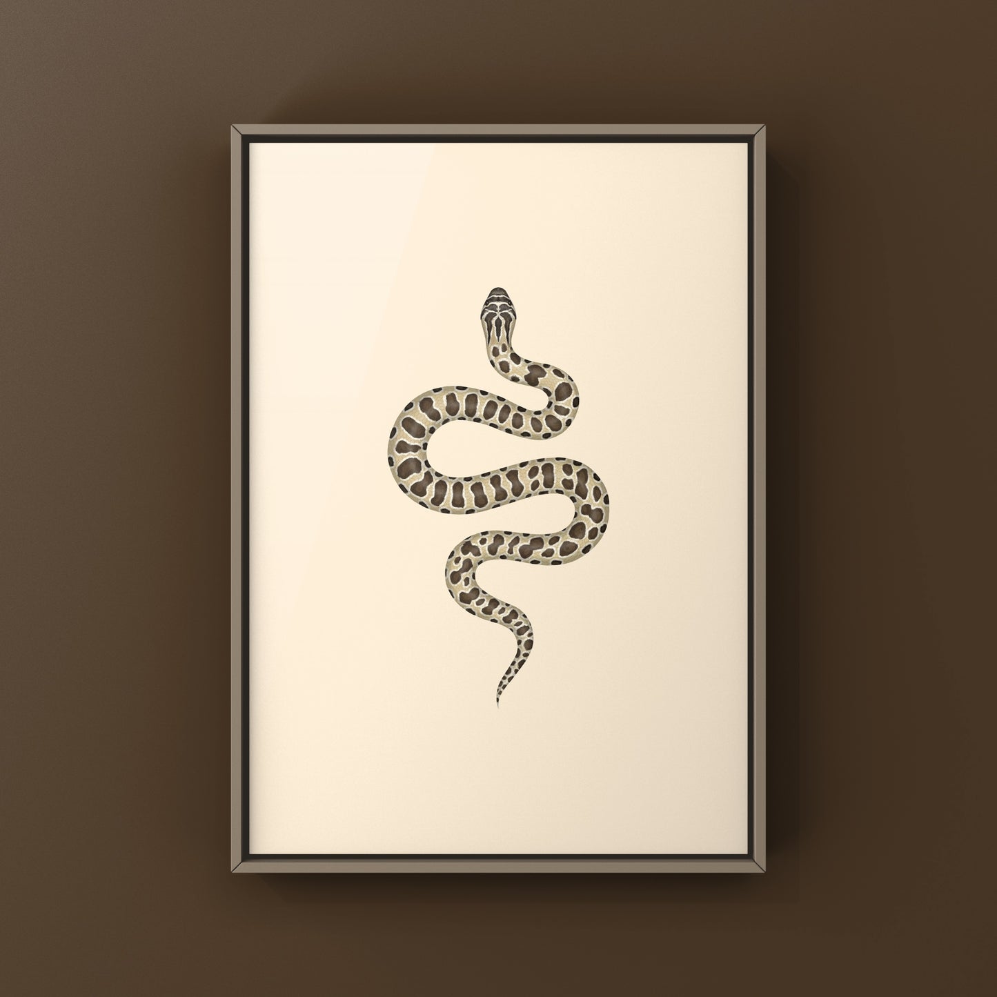 Western Hognose Snake art print by The Silk Ranch, showcasing detailed illustration of Heterodon nasicus in natural colors.