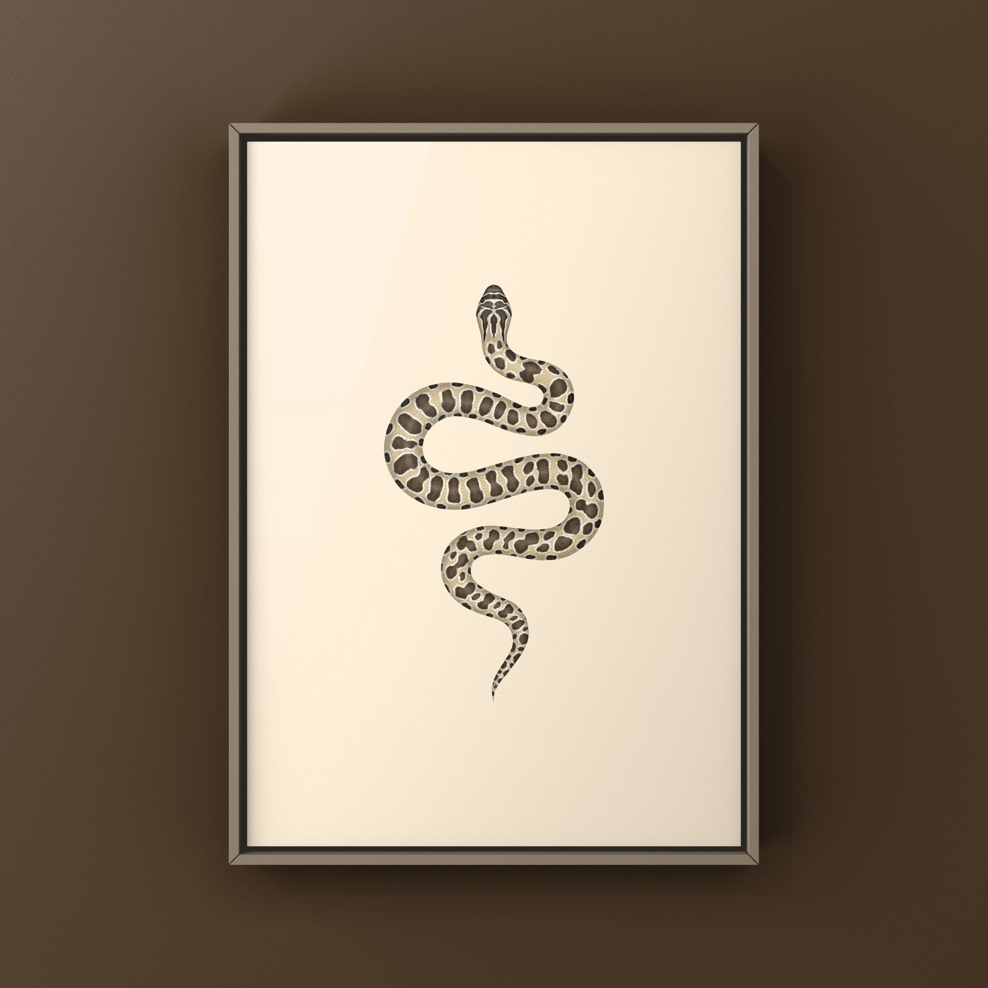Western Hognose Snake art print by The Silk Ranch, showcasing detailed illustration of Heterodon nasicus in natural colors.