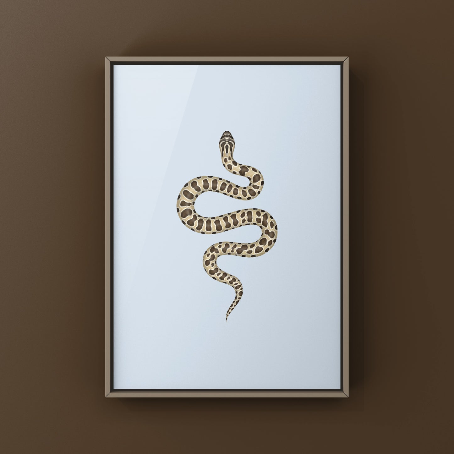 Western Hognose Snake art print by The Silk Ranch showing detailed illustration of the Heterodon nasicus on textured paper.