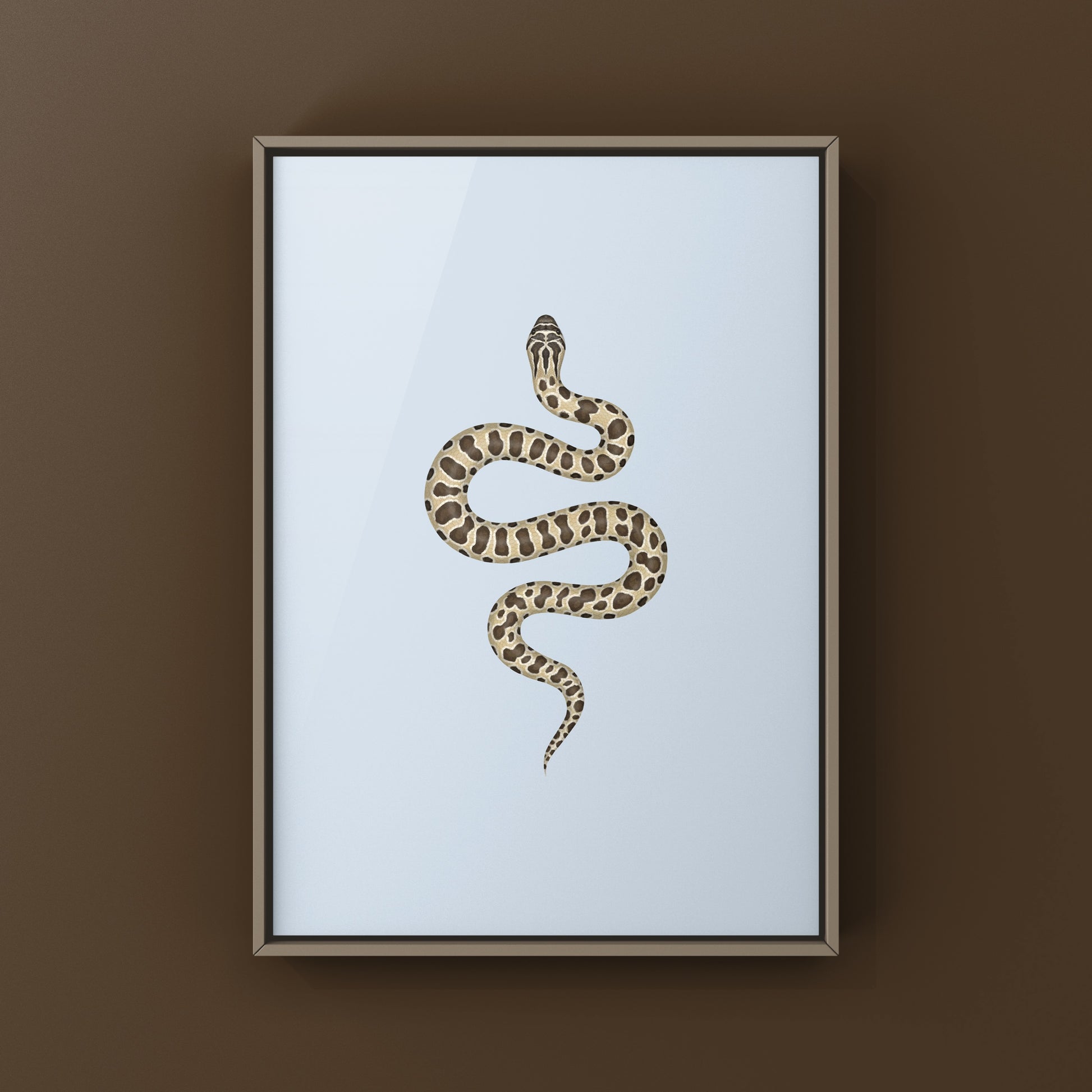 Western Hognose Snake art print by The Silk Ranch showing detailed illustration of the Heterodon nasicus on textured paper.