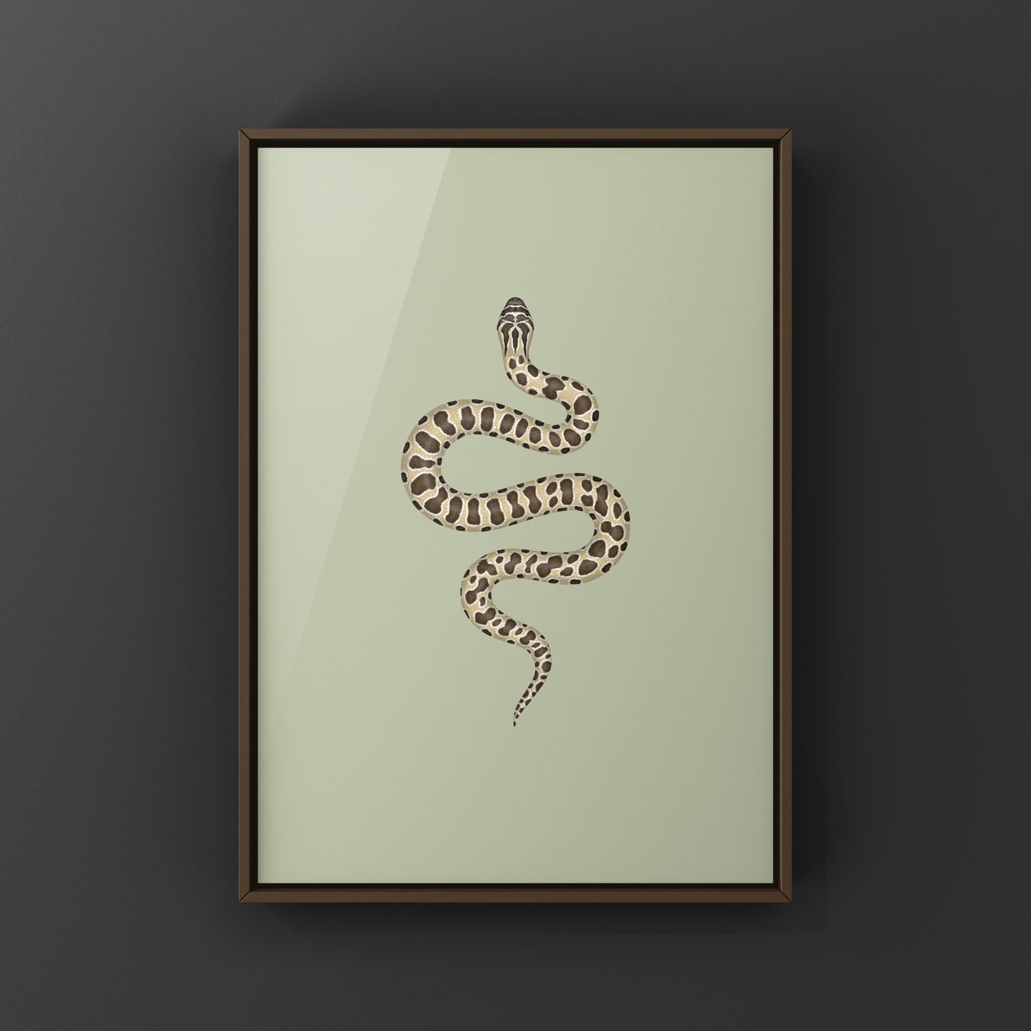 Western Hognose Snake art print by The Silk Ranch, showcasing detailed illustration of the Heterodon nasicus species.