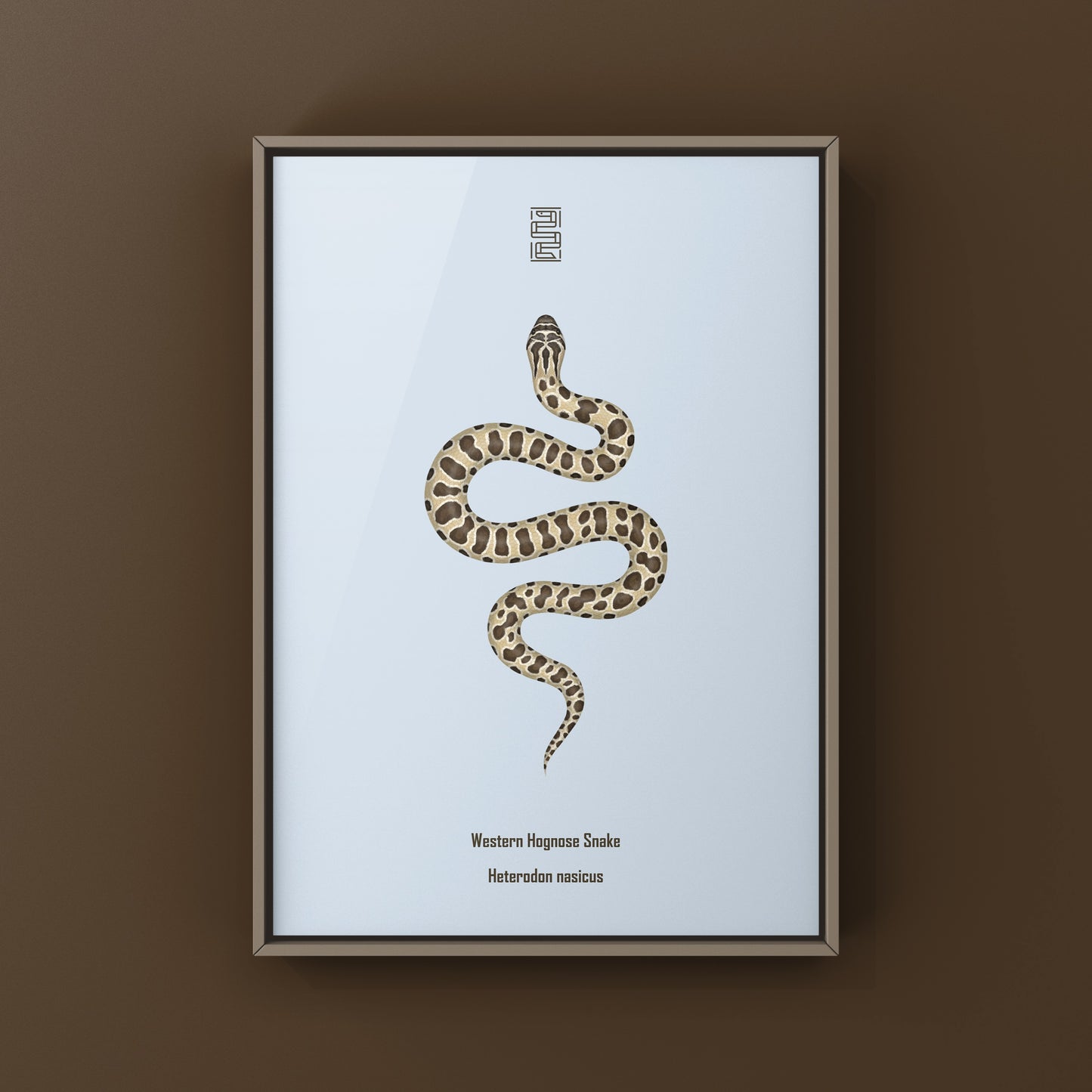Western Hognose Snake art print from The Silk Ranch showing detailed illustration of Heterodon nasicus on textured paper.