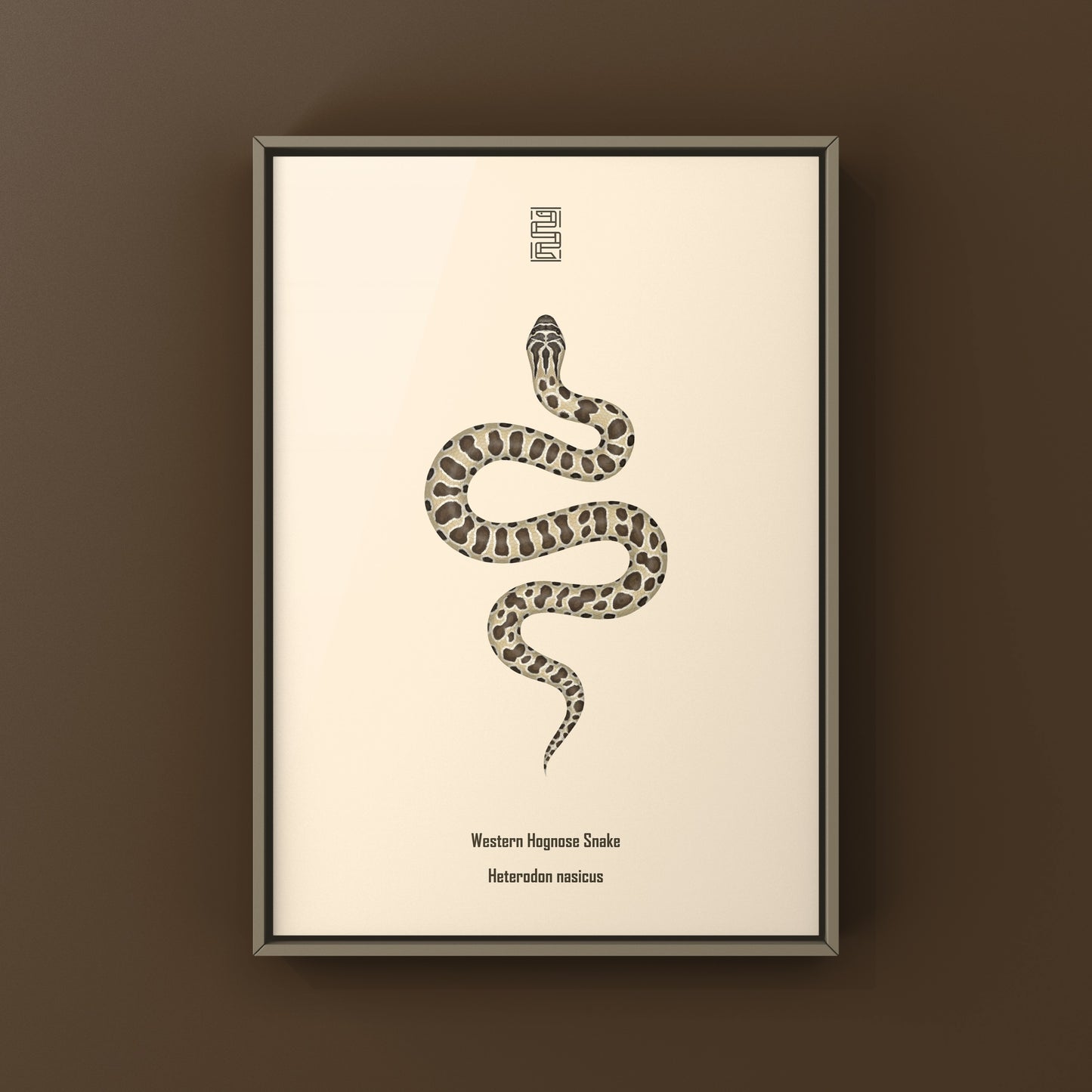 Western Hognose Snake art print featuring detailed illustration of Heterodon nasicus by The Silk Ranch.