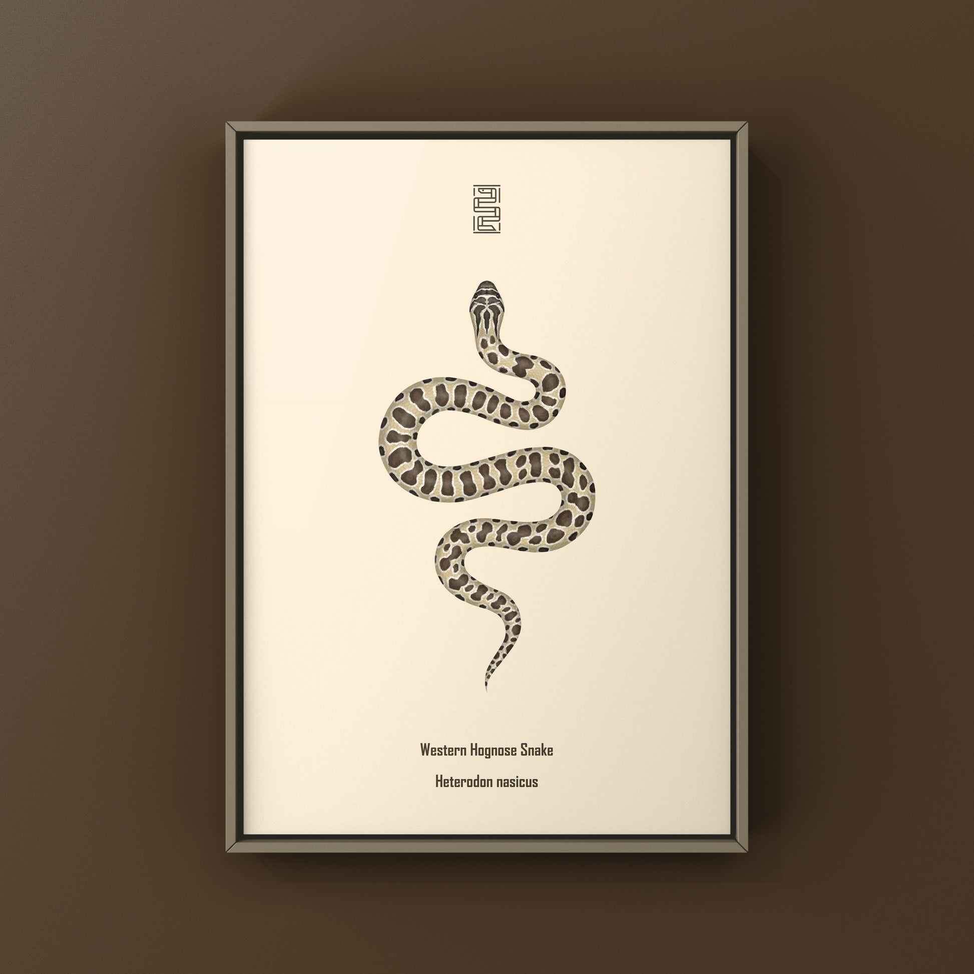Western Hognose Snake art print featuring detailed illustration of Heterodon nasicus by The Silk Ranch.