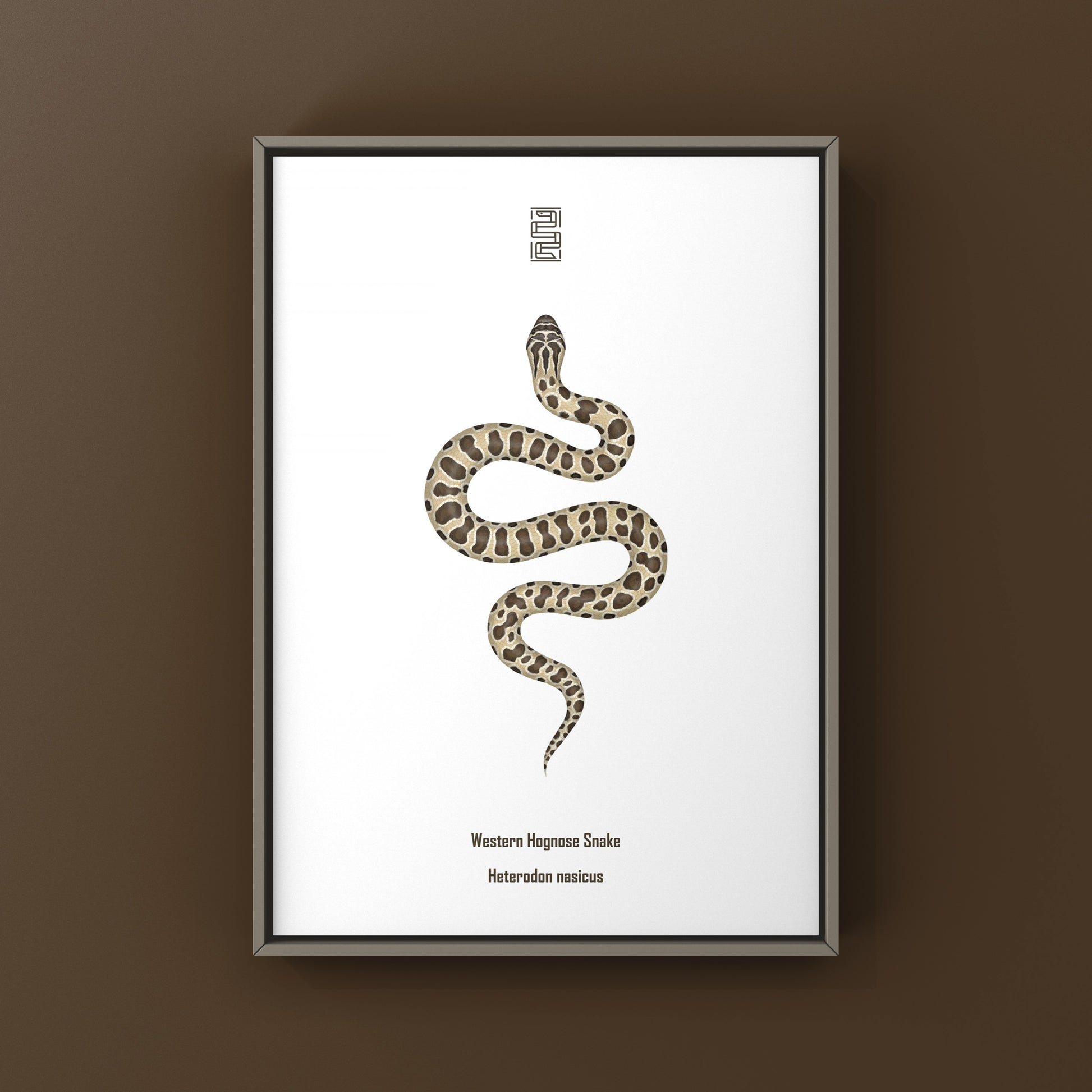 Western Hognose Snake art print by The Silk Ranch, featuring detailed illustration of Heterodon nasicus on high-quality paper.