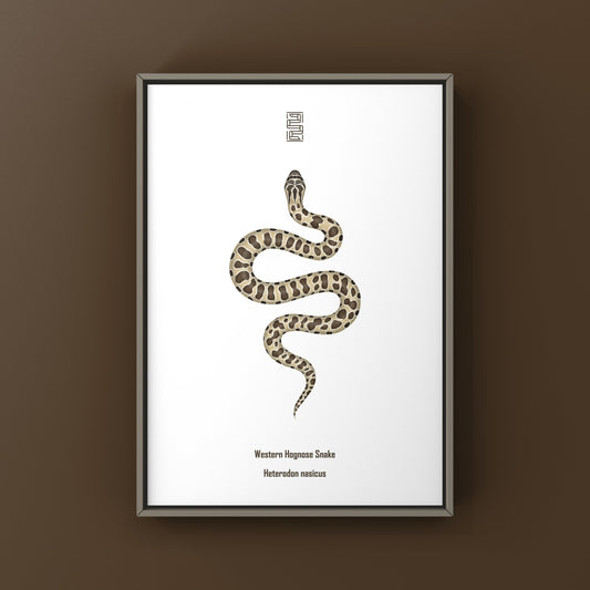 Western Hognose Snake art print by The Silk Ranch, featuring detailed illustration of Heterodon nasicus on high-quality paper.