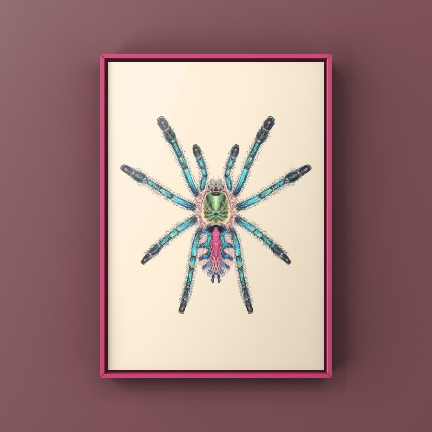 Colorful art print of a Ybyrapora diversipes sapphire tarantula spiderling by The Silk Ranch, showcasing vibrant details and natural beauty.