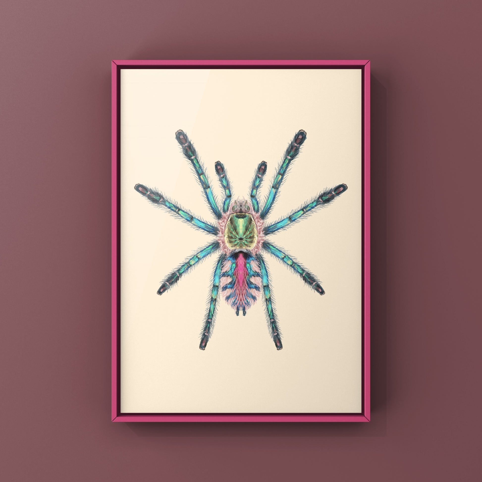 Colorful art print of a Ybyrapora diversipes sapphire tarantula spiderling by The Silk Ranch, showcasing vibrant details and natural beauty.