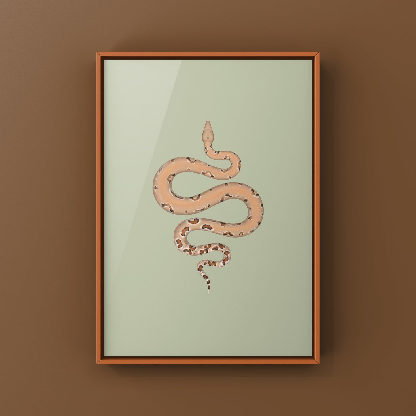 Colombian Red Tail Boa Art Print by The Silk Ranch featuring detailed illustration of Boa imperator with vibrant colors.