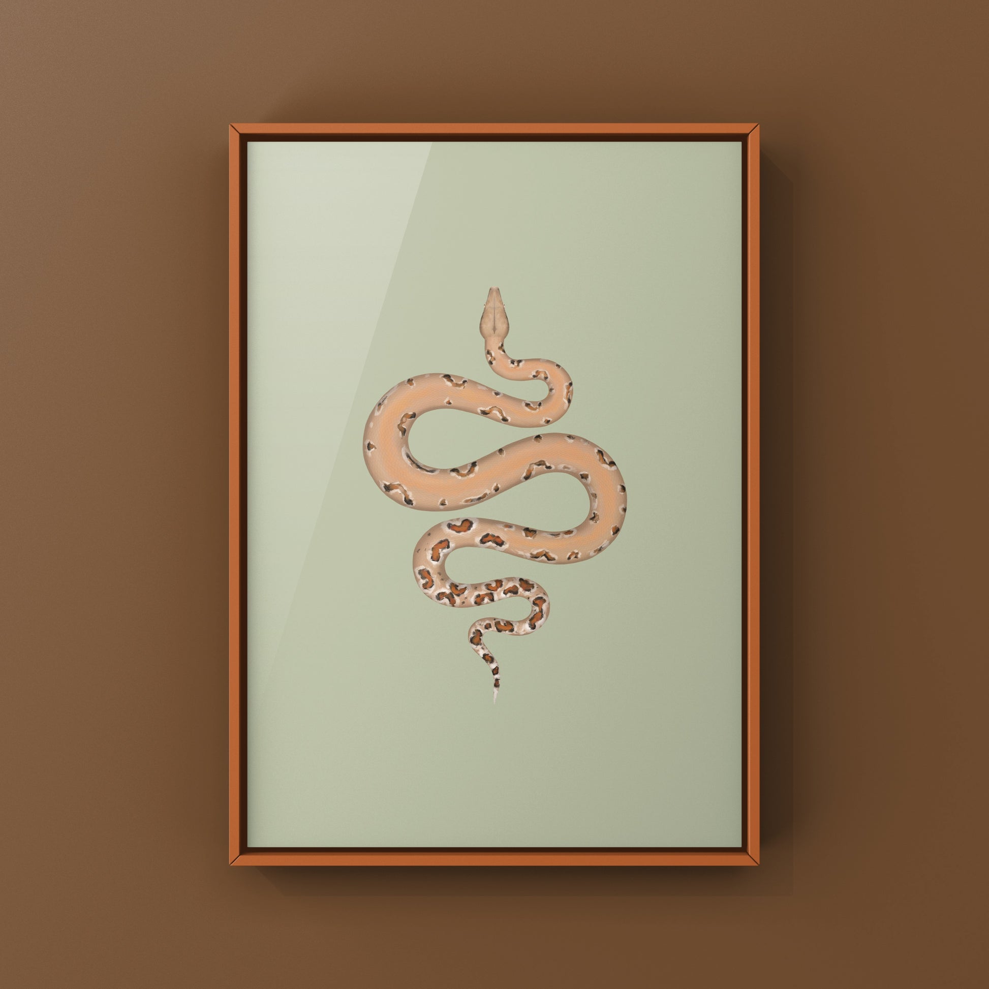 Colombian Red Tail Boa Art Print by The Silk Ranch featuring detailed illustration of Boa imperator with vibrant colors.