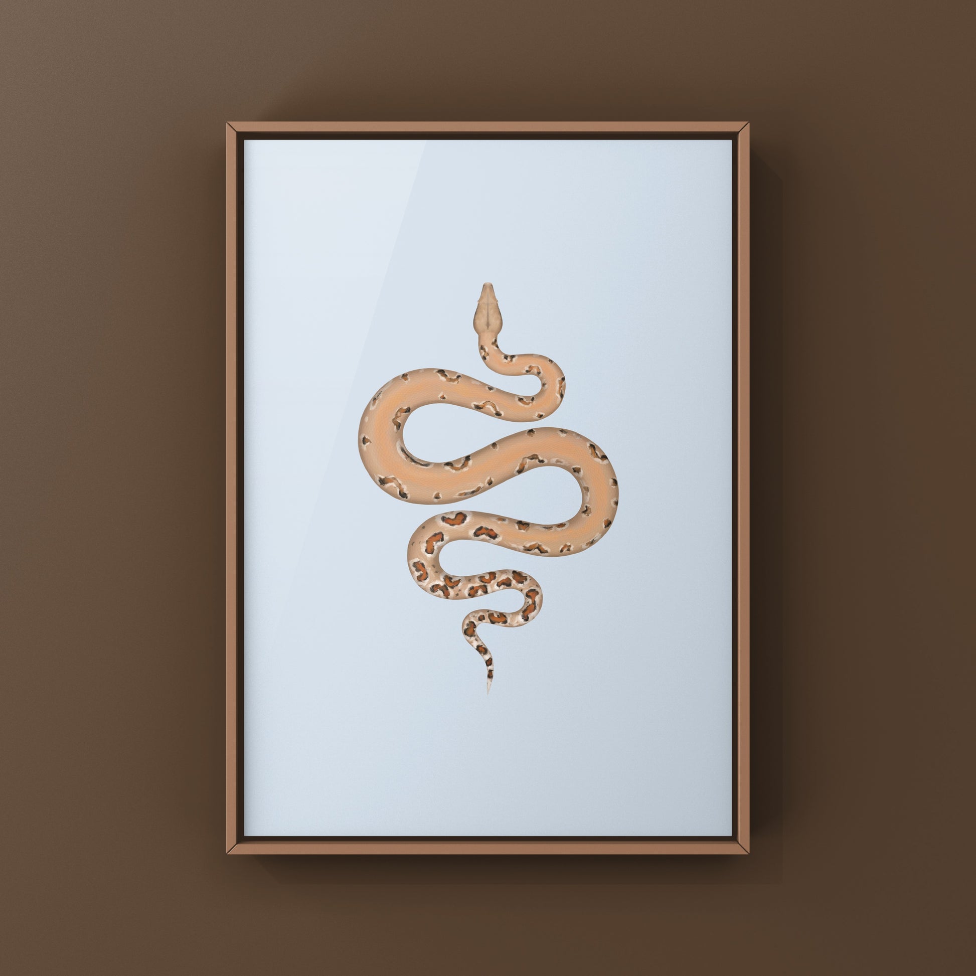 Colombian Red Tail Boa Art Print by The Silk Ranch, featuring detailed illustrations of Boa imperator with vibrant red tail.