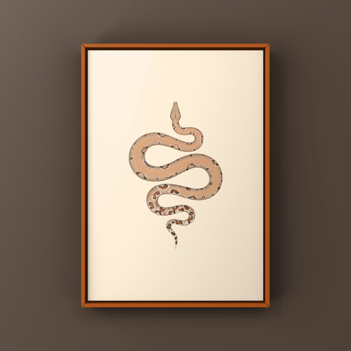 Colombian Red Tail Boa Art Print by The Silk Ranch, showcasing detailed illustration of a Boa imperator with vibrant colors.