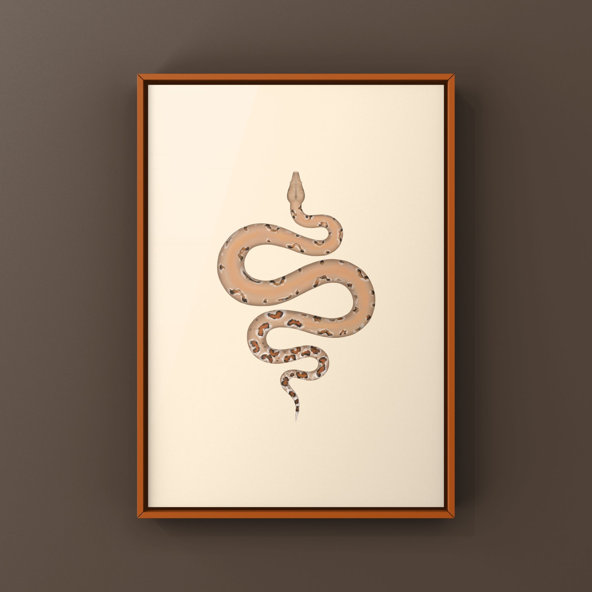 Colombian Red Tail Boa Art Print by The Silk Ranch, showcasing detailed illustration of a Boa imperator with vibrant colors.