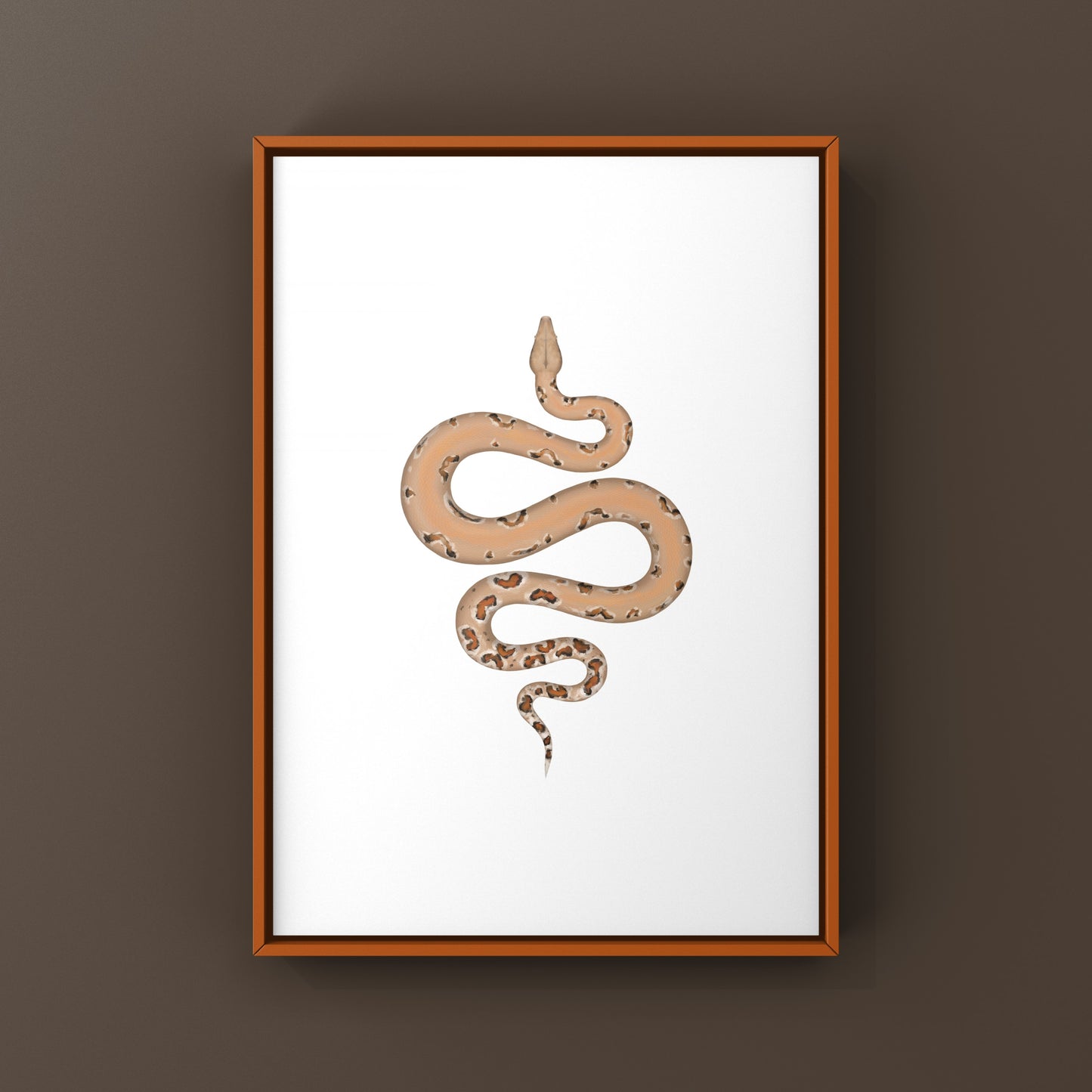 Colombian Red Tail Boa Art Print by The Silk Ranch, showcasing detailed illustration of Boa imperator with vibrant colors.