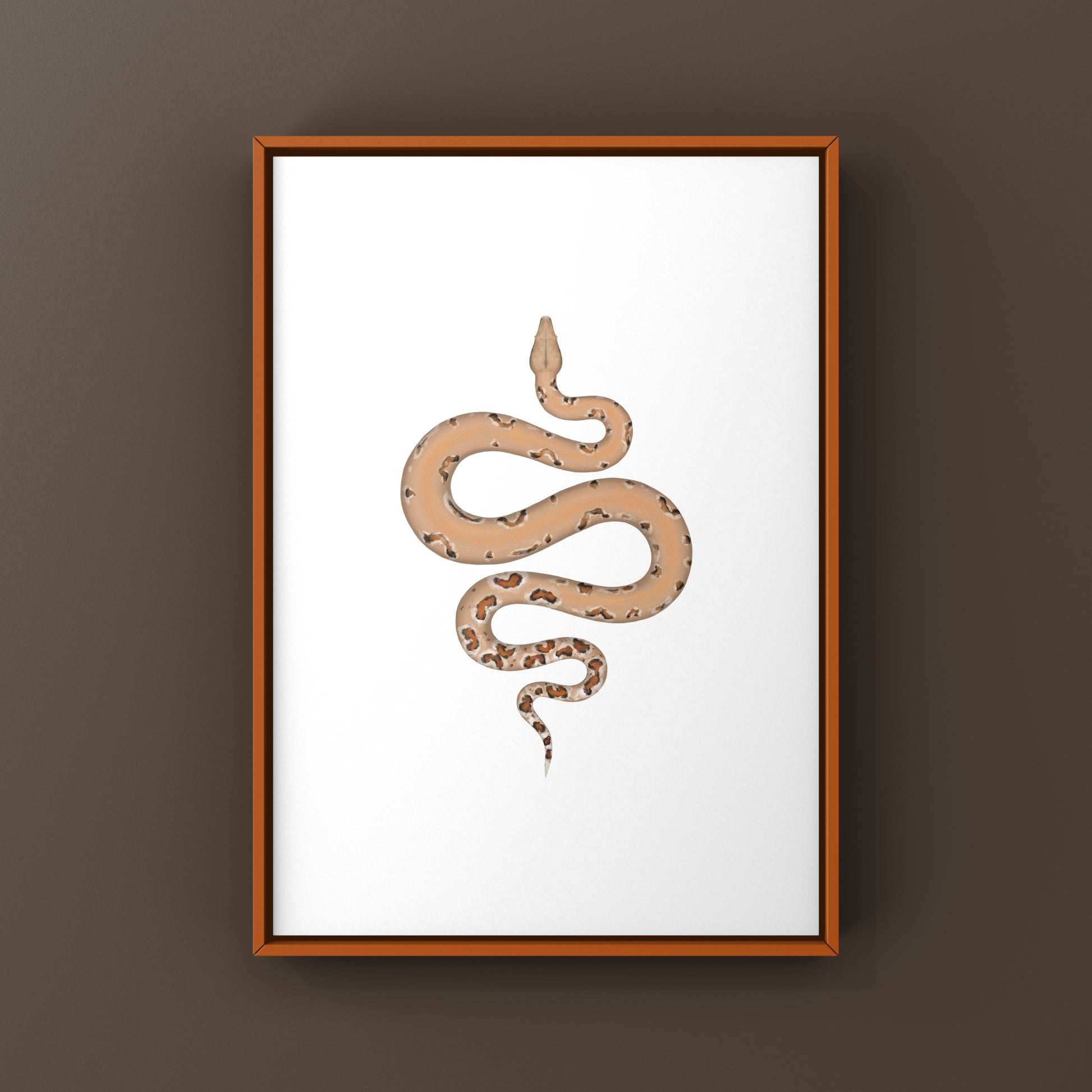 Colombian Red Tail Boa Art Print by The Silk Ranch, showcasing detailed illustration of Boa imperator with vibrant colors.