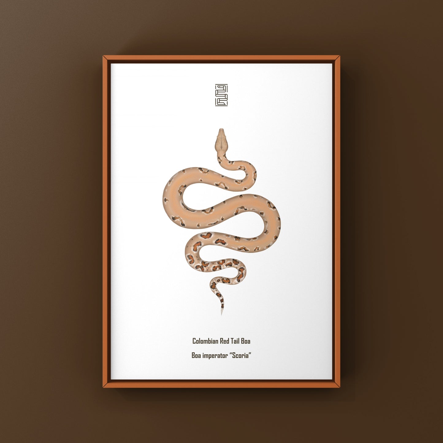 Colombian Red Tail Boa Art Print by The Silk Ranch showing vibrant boa imperator snake artwork