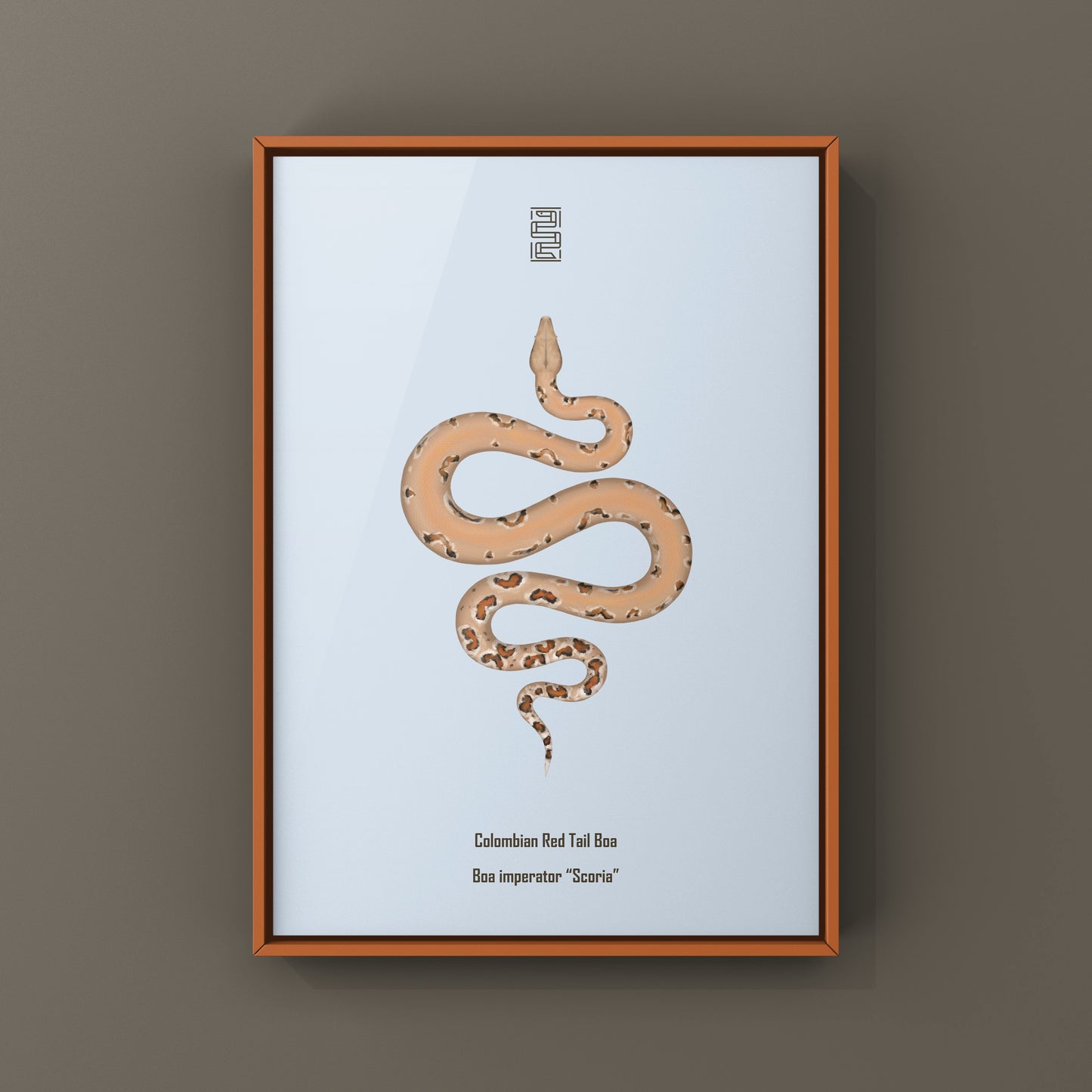 Colombian Red Tail Boa art print featuring a boa imperator snake, showcasing detailed, vibrant artwork by The Silk Ranch.