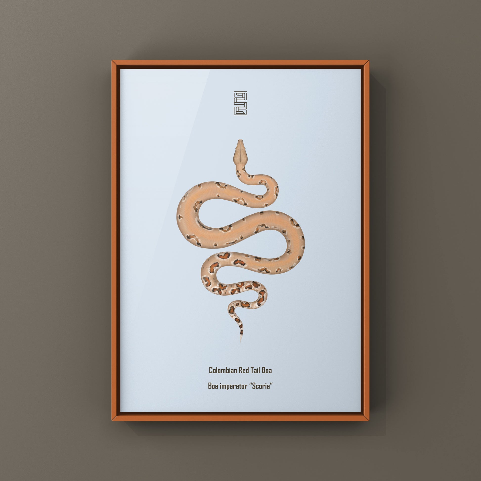 Colombian Red Tail Boa art print featuring a boa imperator snake, showcasing detailed, vibrant artwork by The Silk Ranch.