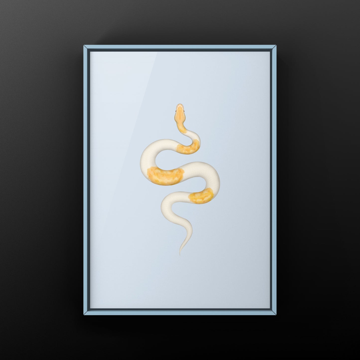 Albino Pied Ball Python Art Print (Python regius) from The Silk Ranch