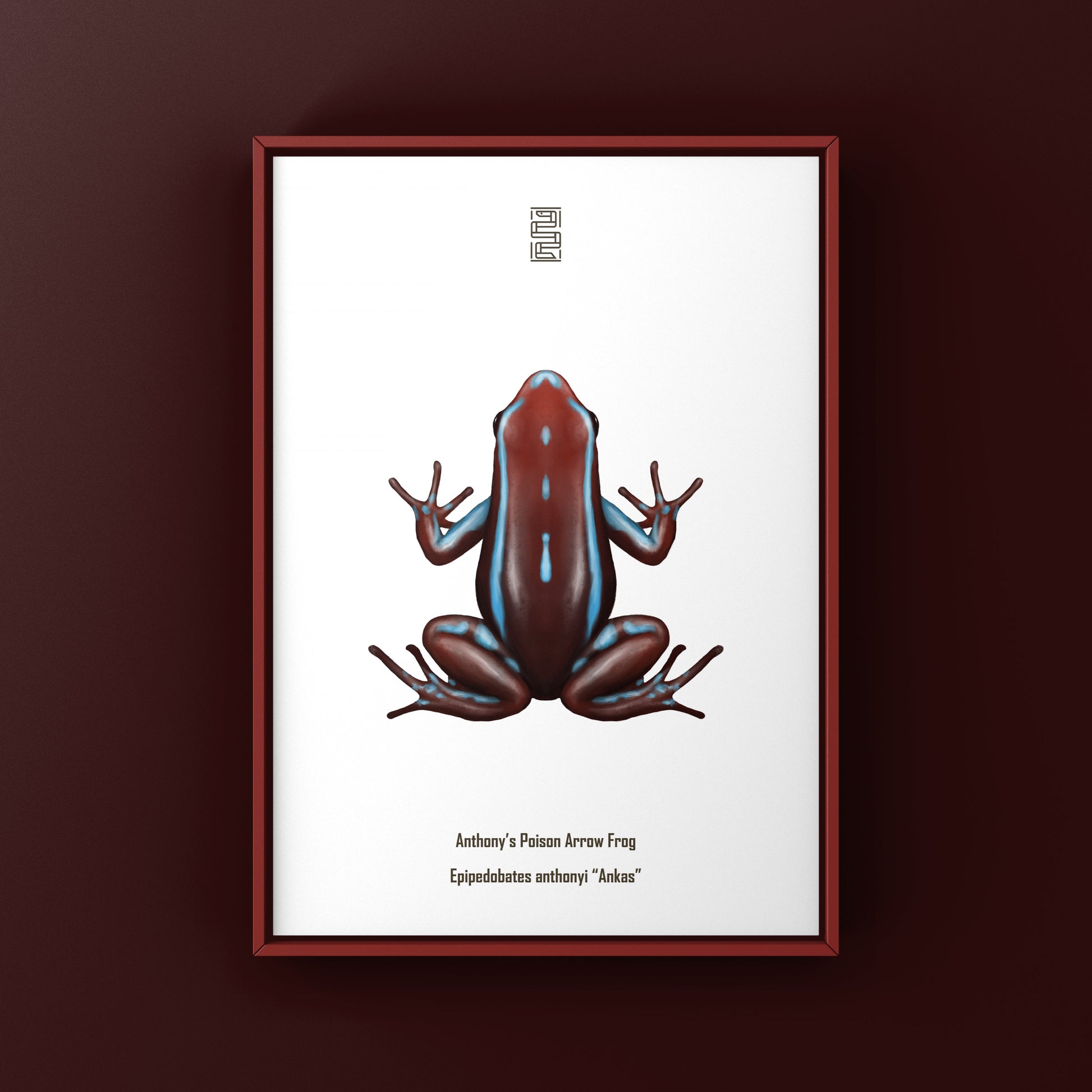 Colorful Ankas Anthony’s Poison Arrow Frog art print by The Silk Ranch, showcasing vibrant amphibian details on high-quality paper.