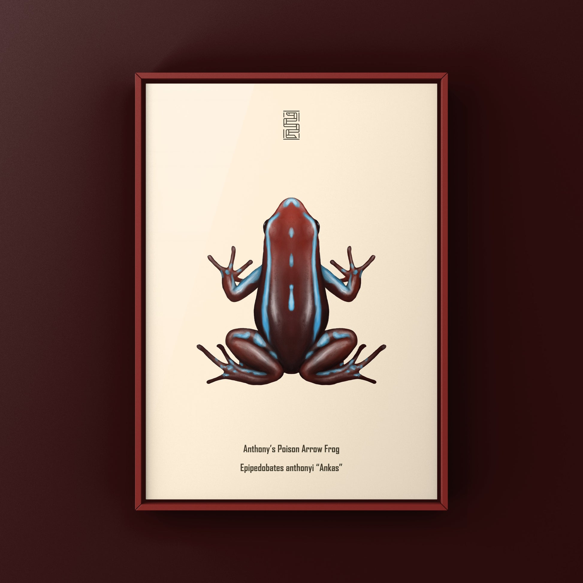 Colorful Ankas Anthony’s Poison Arrow Frog art print by The Silk Ranch, showcasing vibrant amphibian details on high-quality paper.