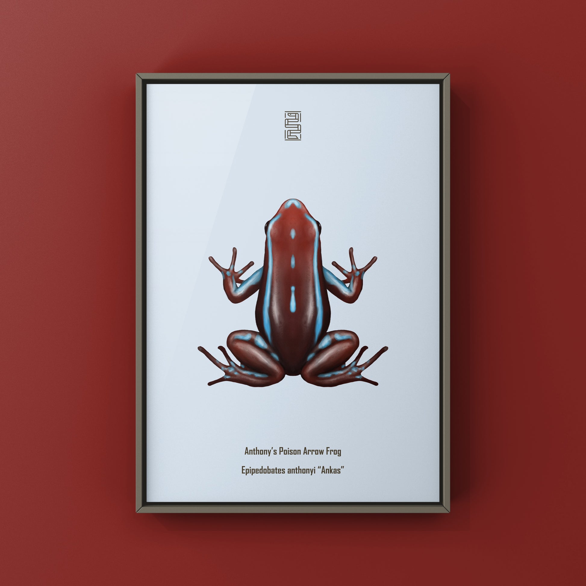 Colorful Ankas Anthony’s Poison Arrow Frog art print by The Silk Ranch showcasing vibrant amphibian artwork on high-quality paper.