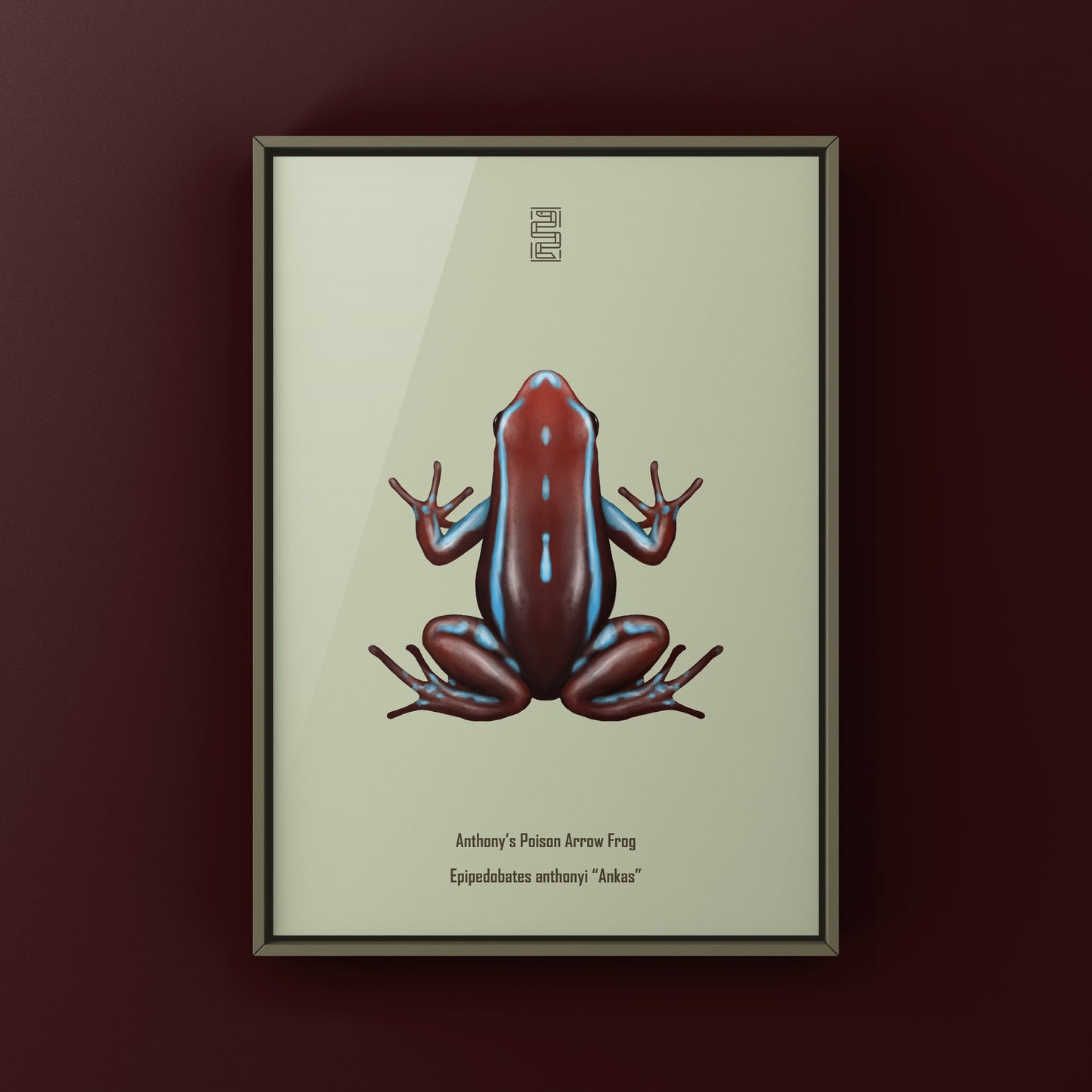 Colorful Ankas Anthony’s Poison Arrow Frog art print by The Silk Ranch showcasing vibrant amphibian illustrations.