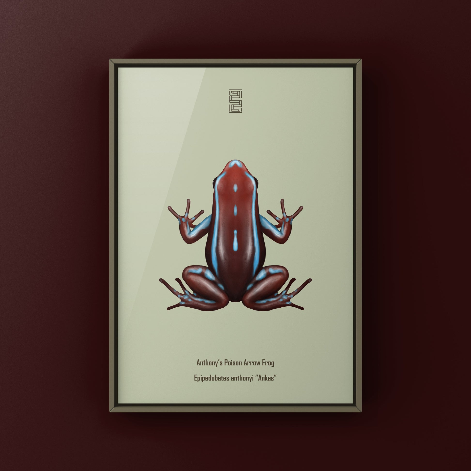 Colorful Ankas Anthony’s Poison Arrow Frog art print by The Silk Ranch showcasing vibrant amphibian illustrations.