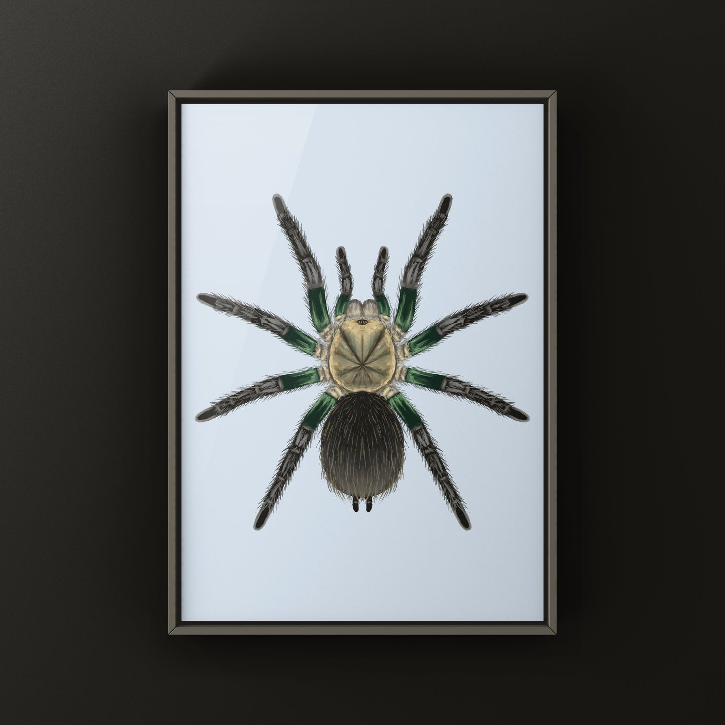 Green Femur Birdeater Tarantula art print showcasing a detailed illustration of the Phormictopus sp. tarantula on white background.