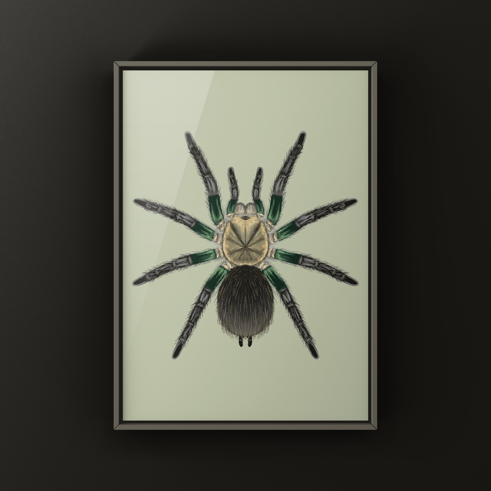 Green Femur Birdeater Tarantula art print featuring detailed illustrations of the Phormictopus sp. with vibrant green femur coloring.