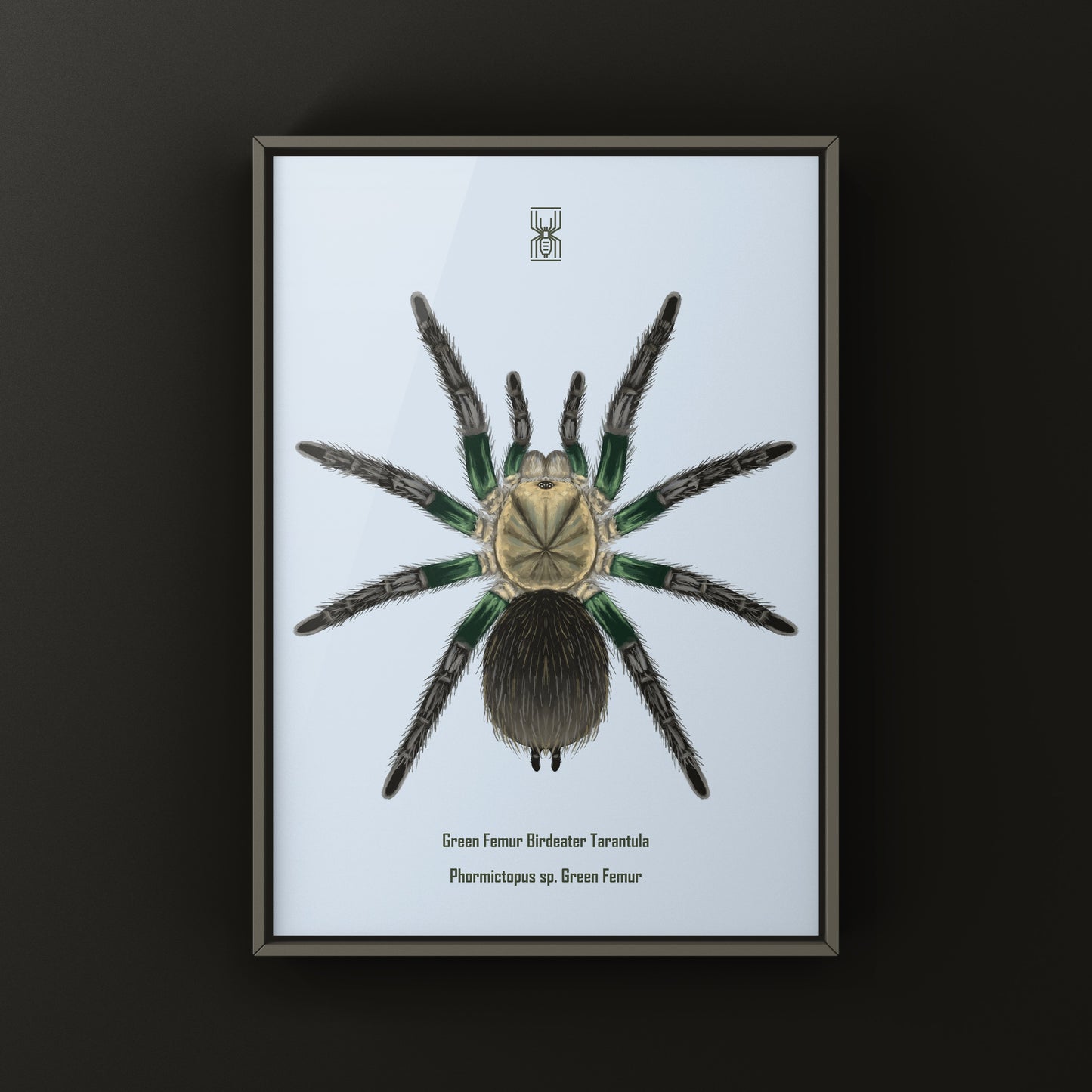 Green Femur Birdeater Tarantula art print featuring detailed illustration of Phormictopus sp. with vibrant green femur coloration