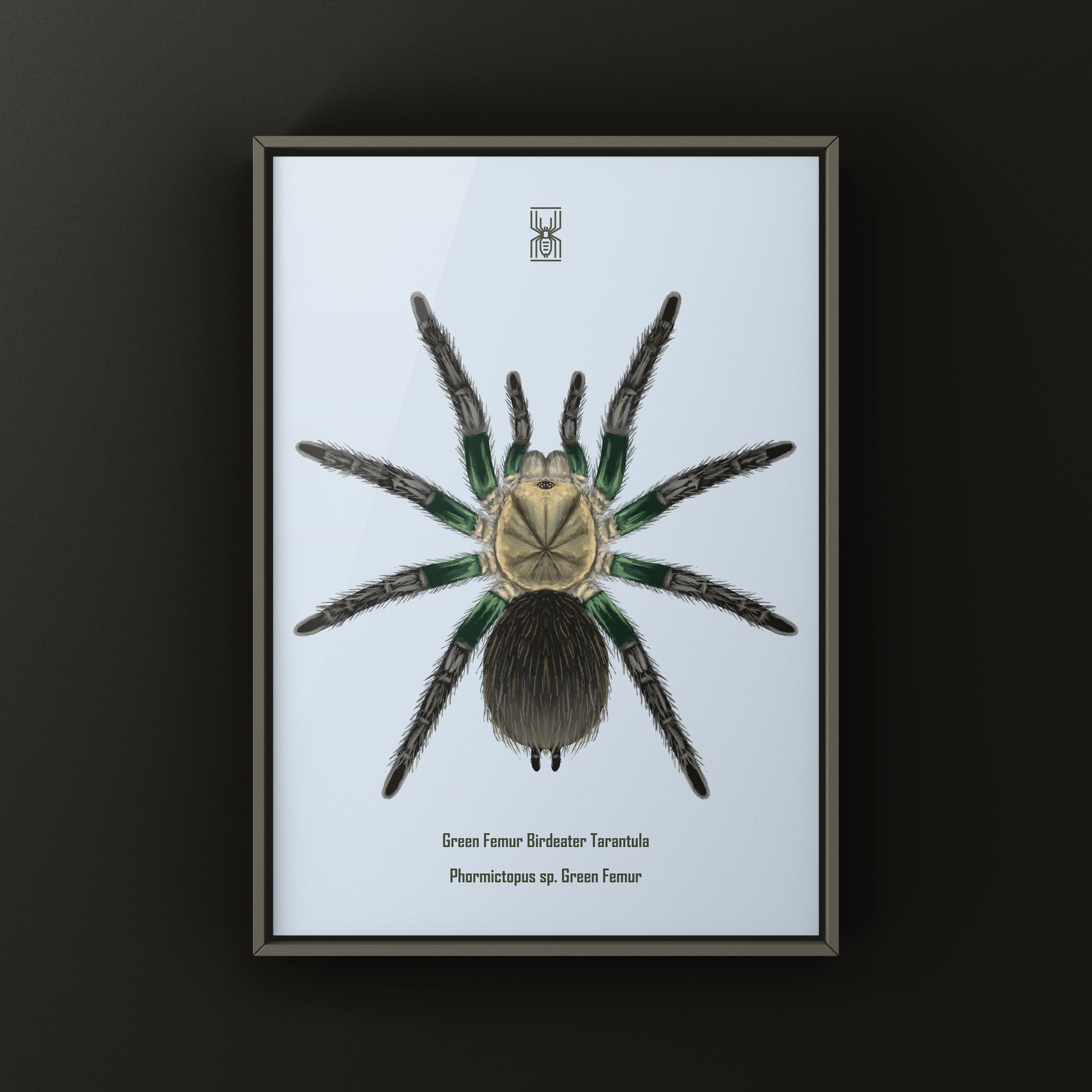 Green Femur Birdeater Tarantula art print featuring detailed illustration of Phormictopus sp. with vibrant green femur coloration