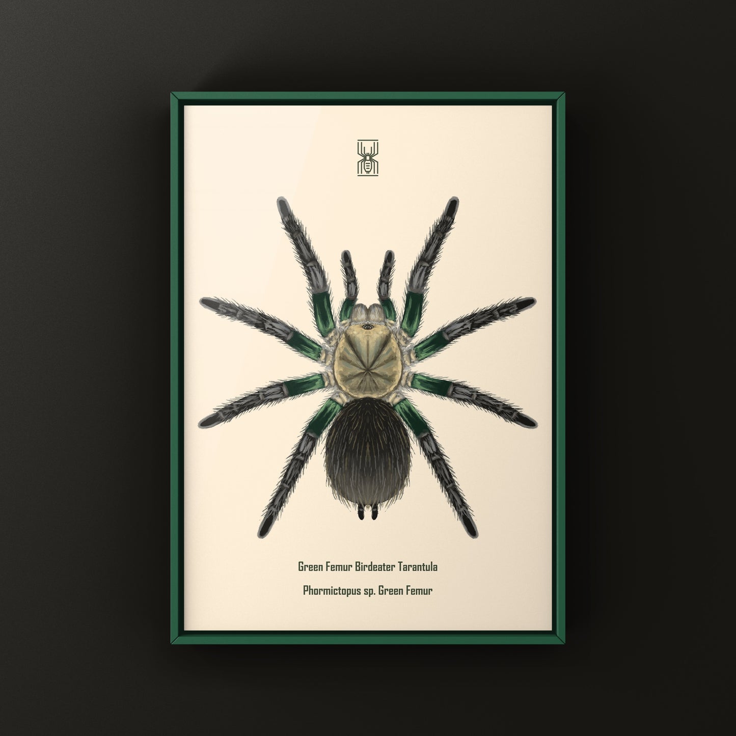Green Femur Birdeater Tarantula art print featuring detailed illustration of Phormictopus sp. on a neutral background.