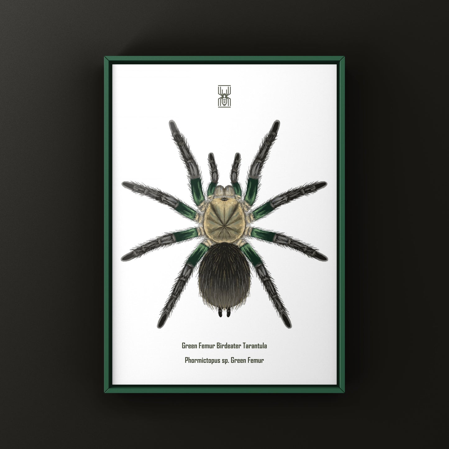 Green Femur Birdeater Tarantula art print featuring a detailed illustration of Phormictopus sp. in vibrant green hues.