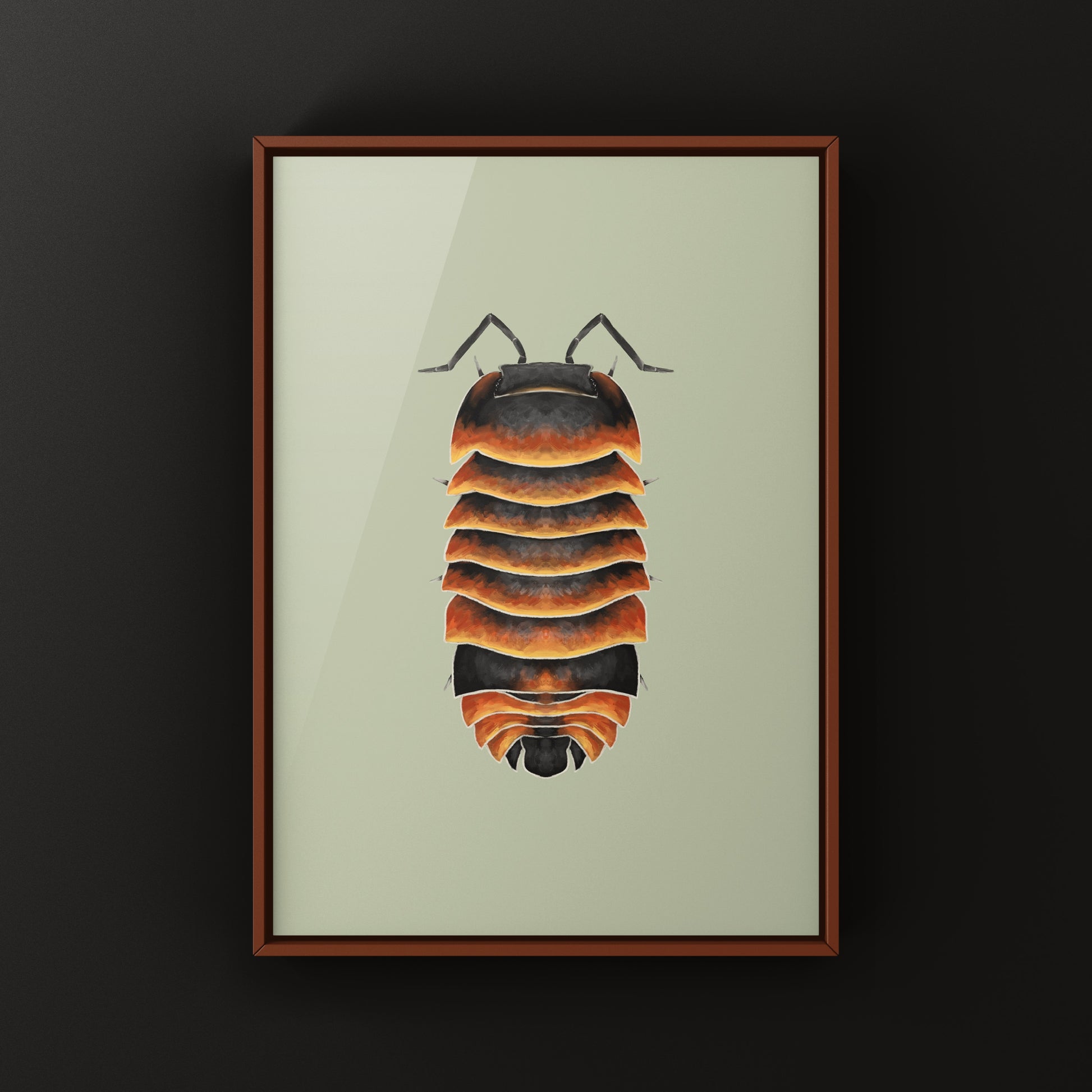 Colorful Ember Bee Isopod Ardentiella sp. art print by The Silk Ranch showcasing detailed, vibrant illustration of the unique crustacean.