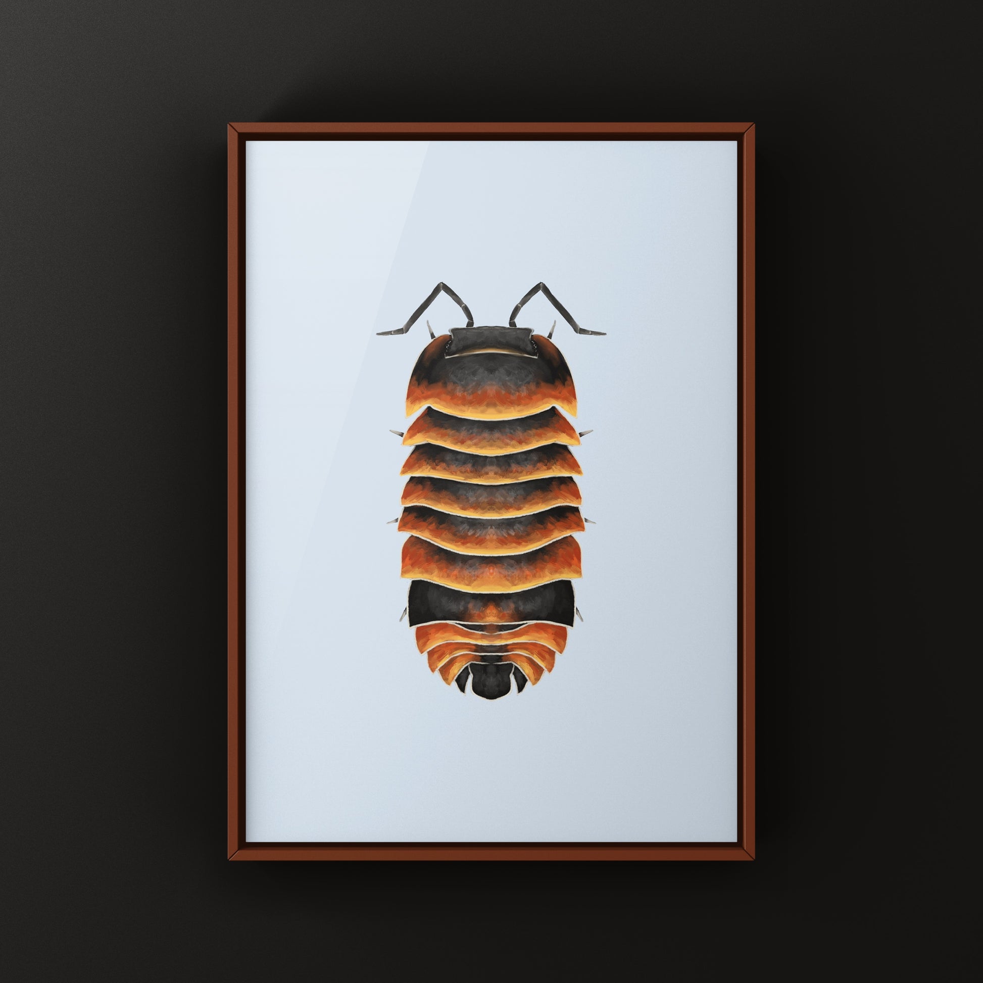 Detailed Ember Bee isopod art print by The Silk Ranch, showcasing Ardentiella sp. with vibrant colors and intricate details.