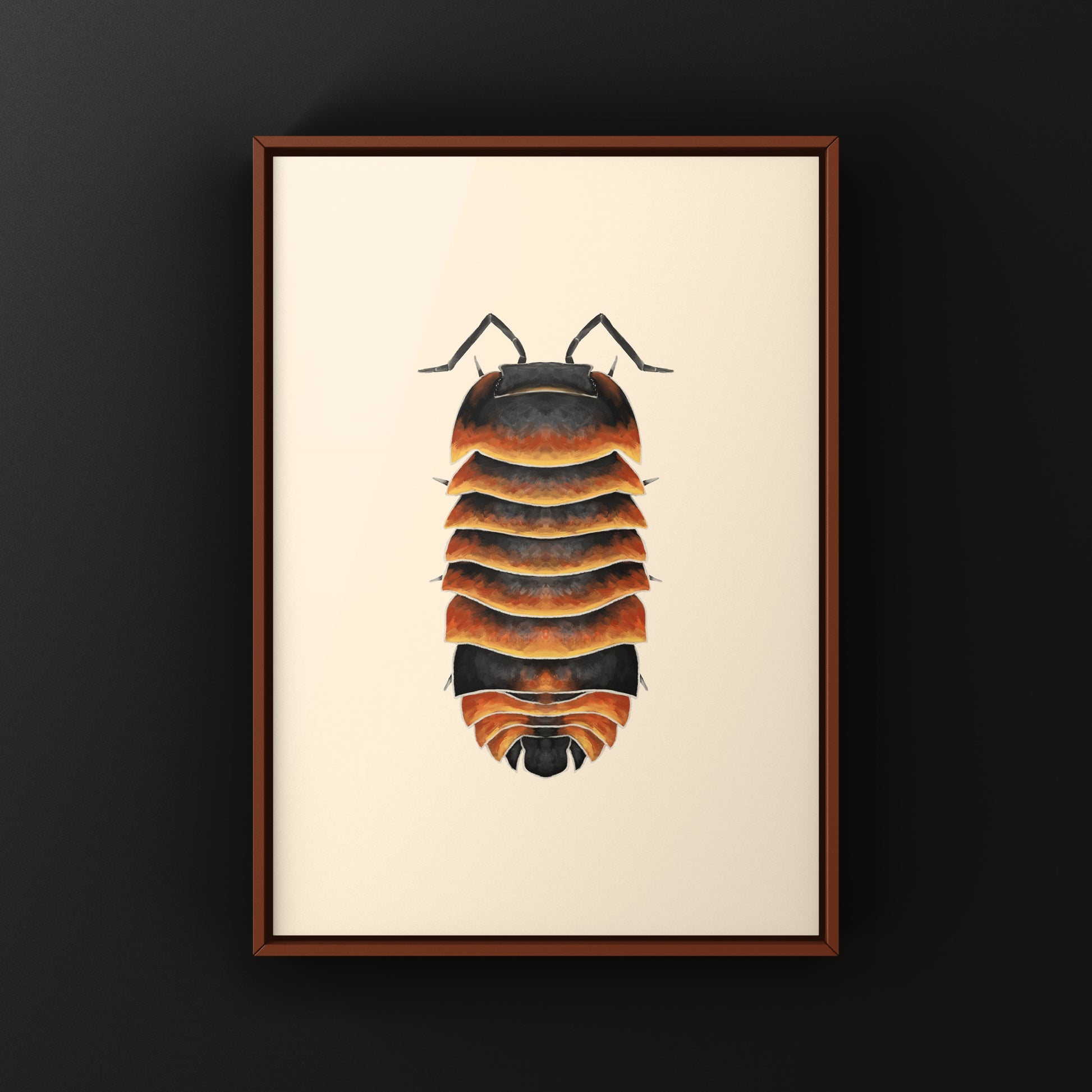 Ember Bee isopod art print by The Silk Ranch featuring detailed illustration of Ardentiella sp. Ember Bee isopod on textured background.