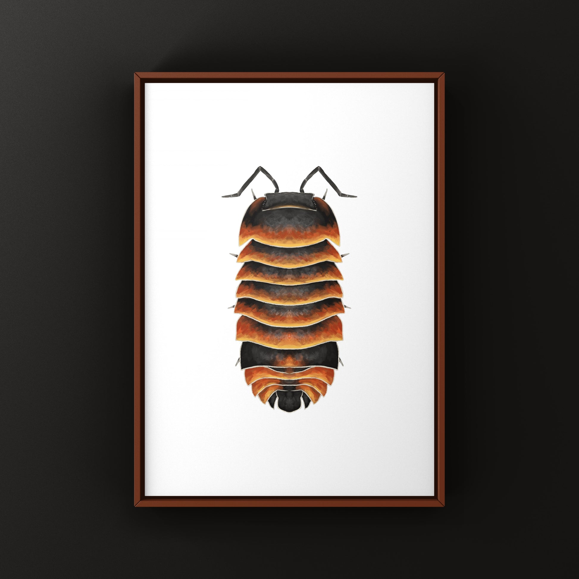 Close-up of Ember Bee Isopod Ardentiella sp. art print by The Silk Ranch, showcasing detailed illustration of the tiny crustacean.