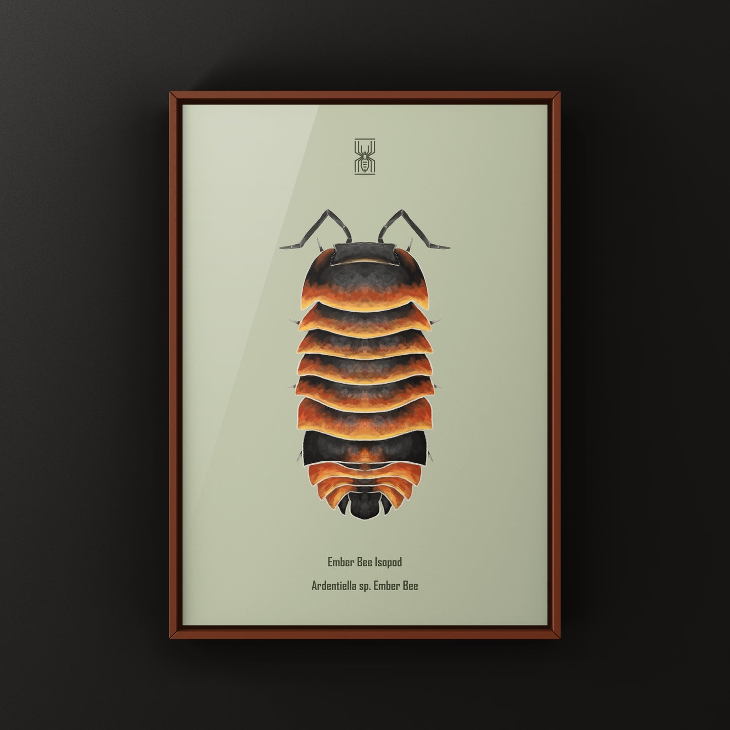 Ember Bee Isopod Ardentiella sp. art print by The Silk Ranch, featuring detailed illustration of Ember Bee isopod on white background.