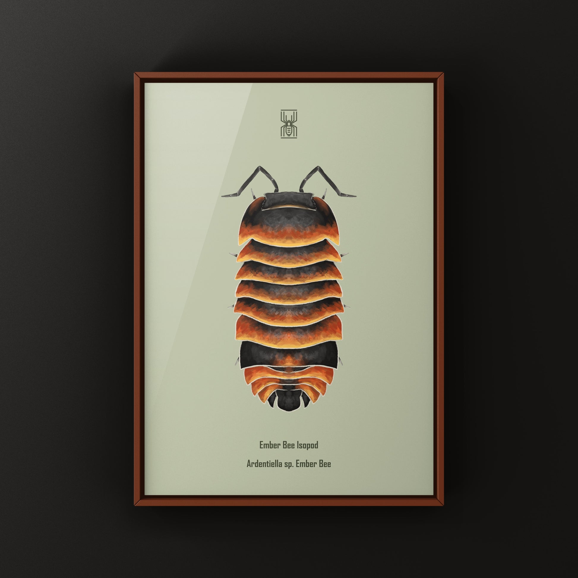 Ember Bee Isopod Ardentiella sp. art print by The Silk Ranch, featuring detailed illustration of Ember Bee isopod on white background.