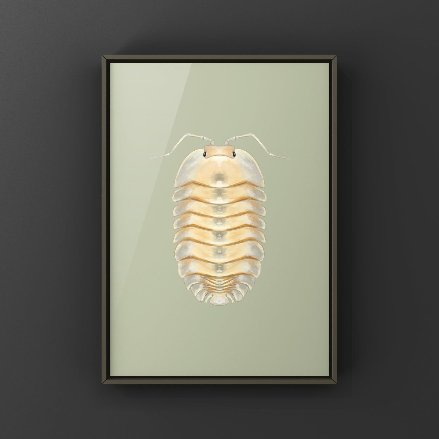 Glass Skeleton Isopod art print by The Silk Ranch showing a detailed skeletal illustration of Troglodillo sp. on white background.