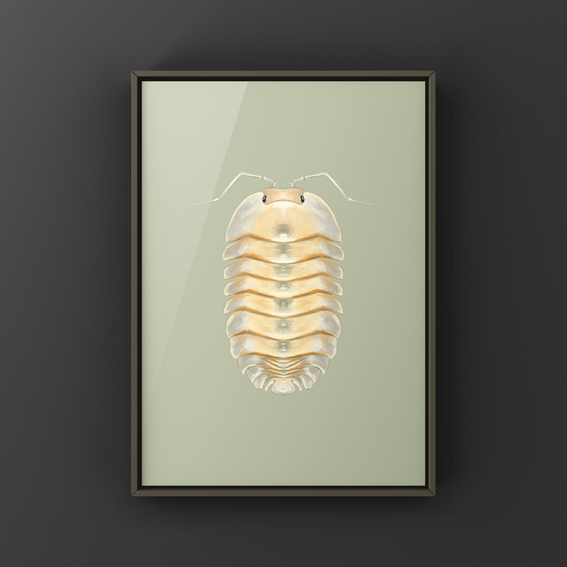 Glass Skeleton Isopod art print by The Silk Ranch showing a detailed skeletal illustration of Troglodillo sp. on white background.
