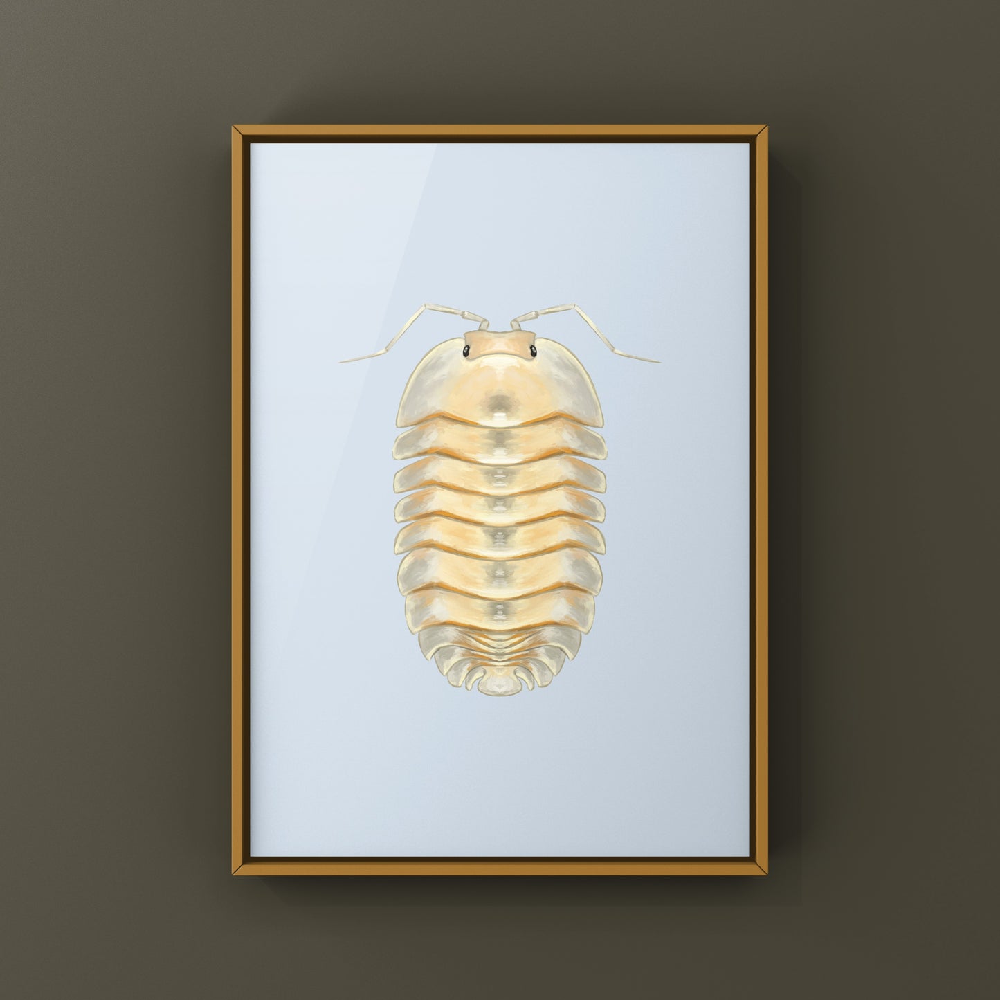 Glass Skeleton Isopod Art Print featuring a detailed Troglodillo sp. skeleton, created by The Silk Ranch, on white background.