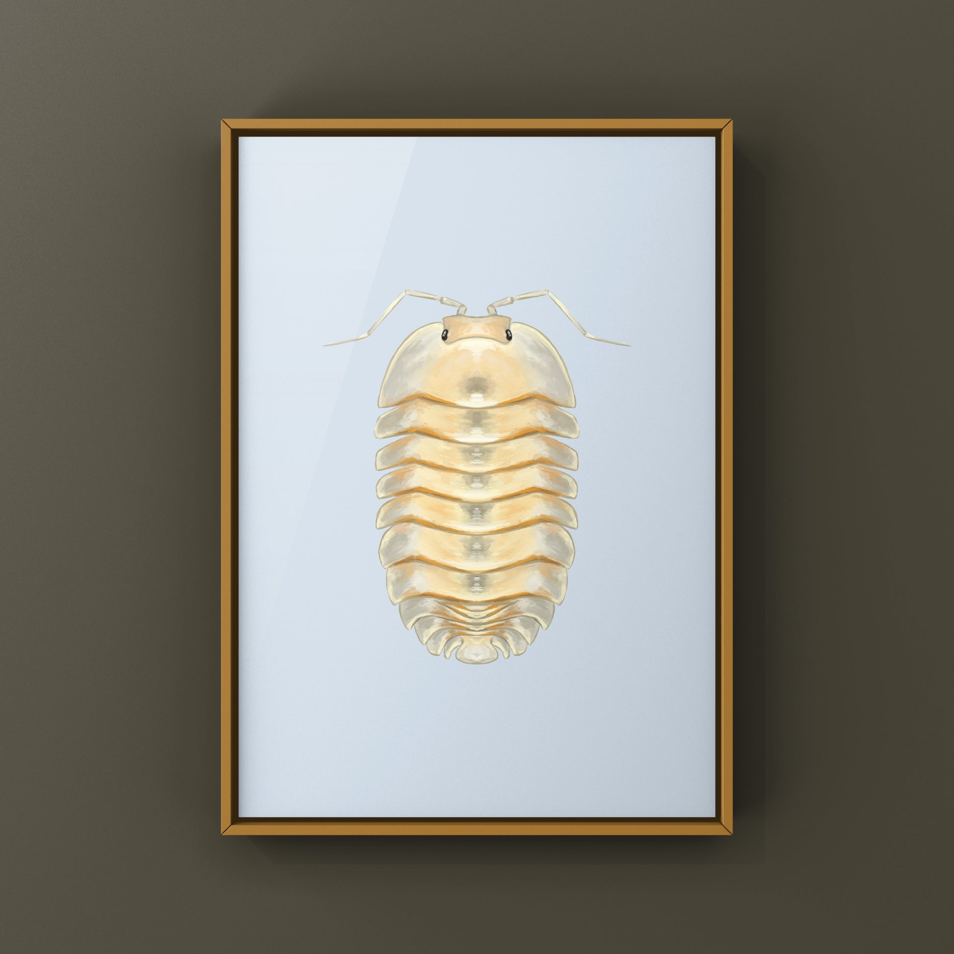 Glass Skeleton Isopod Art Print featuring a detailed Troglodillo sp. skeleton, created by The Silk Ranch, on white background.