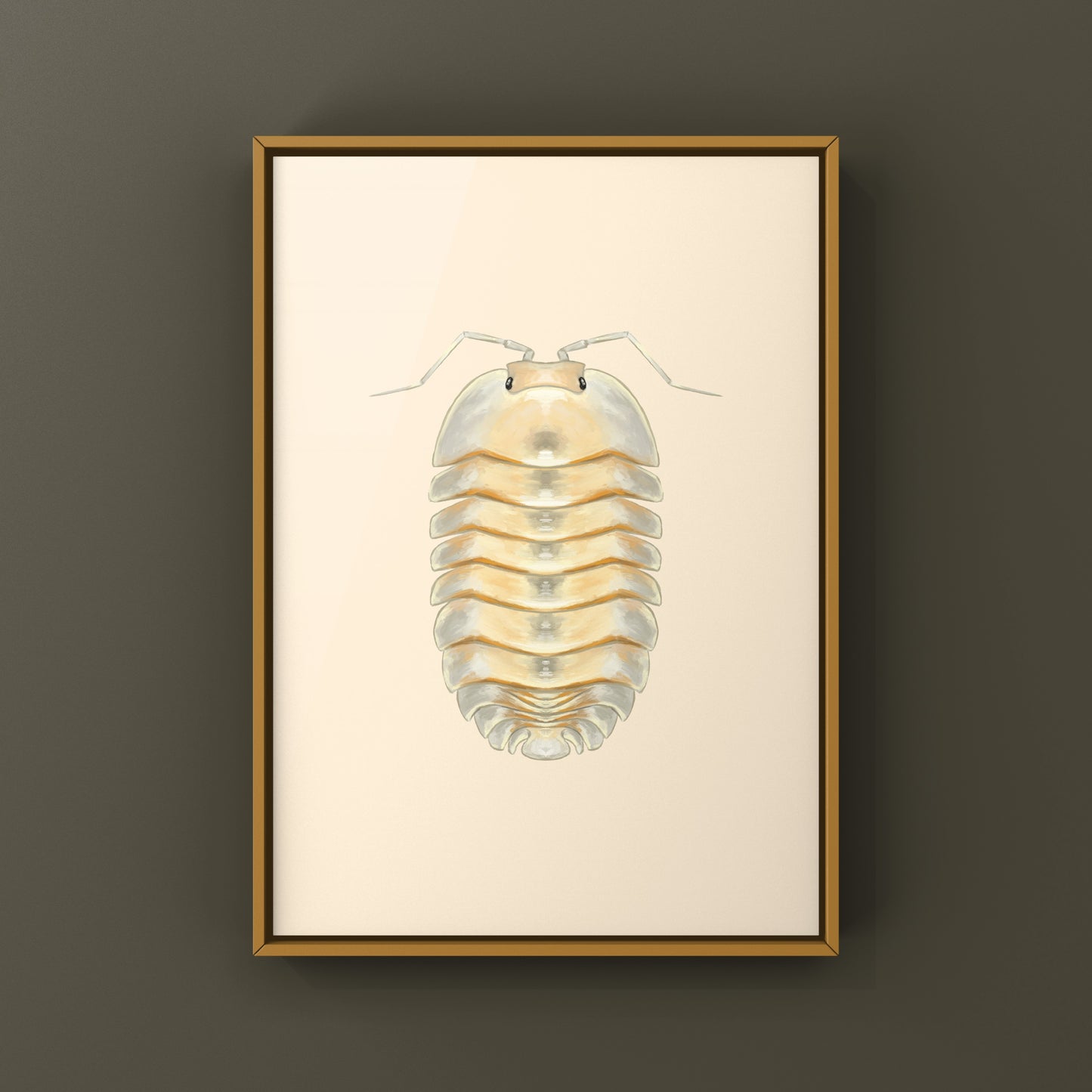 Glass Skeleton Isopod art print featuring a detailed Troglodillo sp. skeleton, displayed on white background.