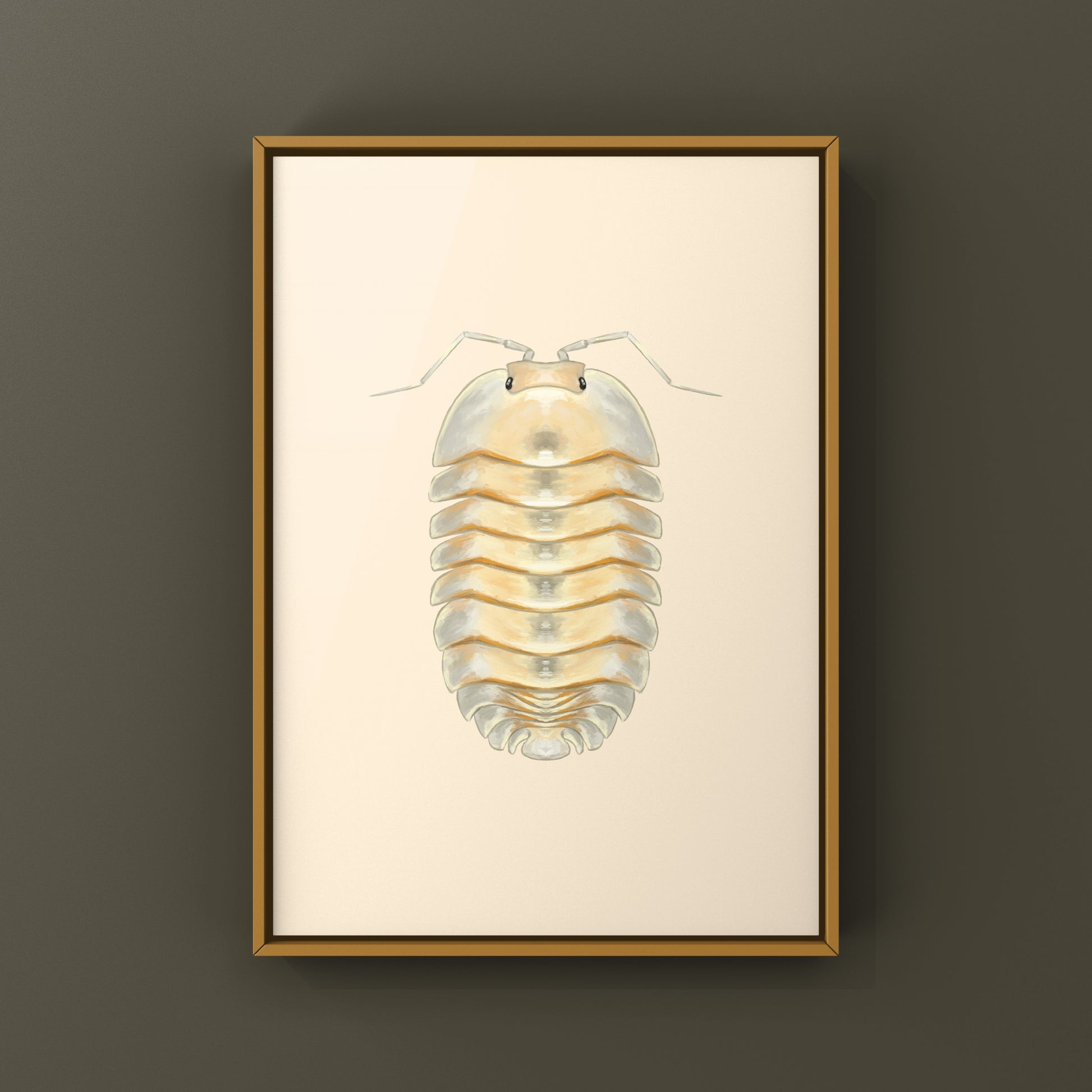 Glass Skeleton Isopod art print featuring a detailed Troglodillo sp. skeleton, displayed on white background.