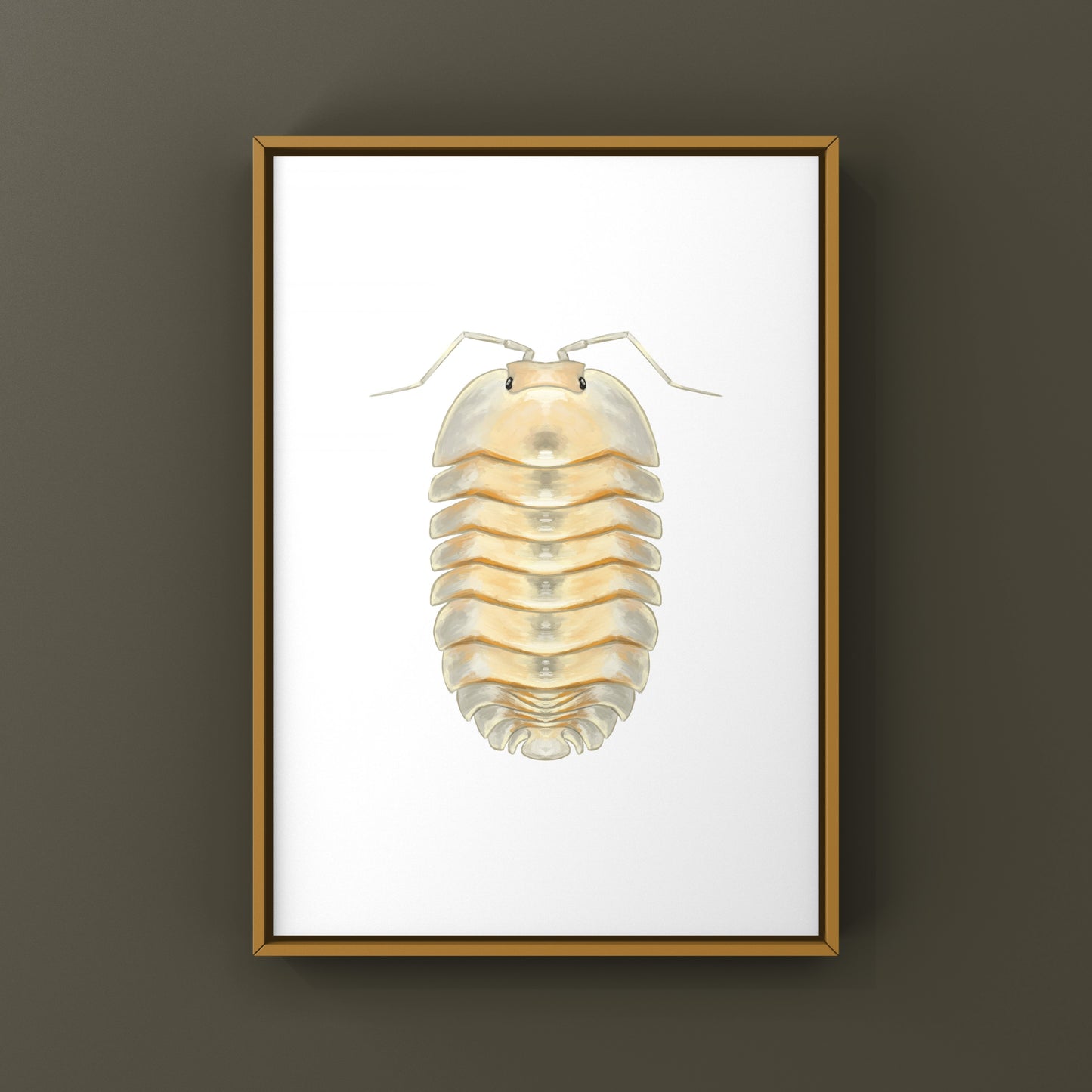 Glass Skeleton Isopod art print featuring a detailed skeleton of Troglodillo sp. showcased on a white background