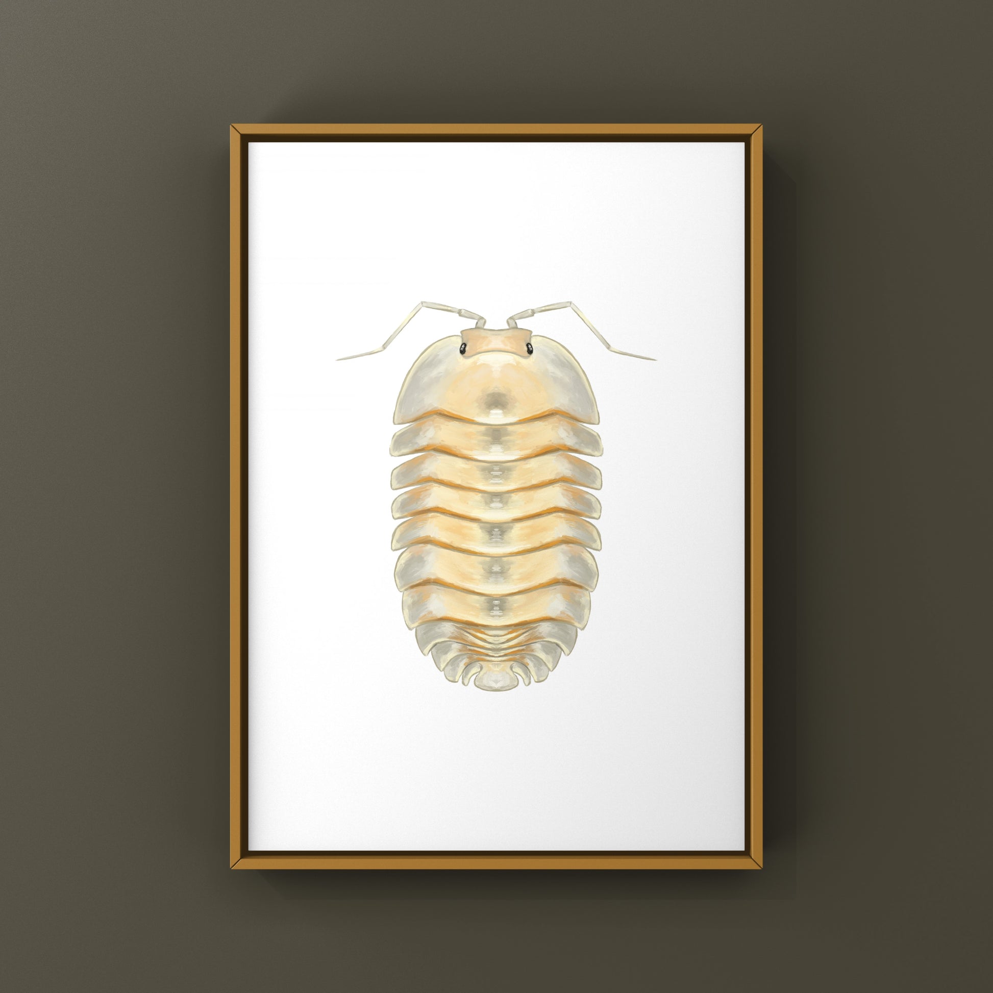 Glass Skeleton Isopod art print featuring a detailed skeleton of Troglodillo sp. showcased on a white background