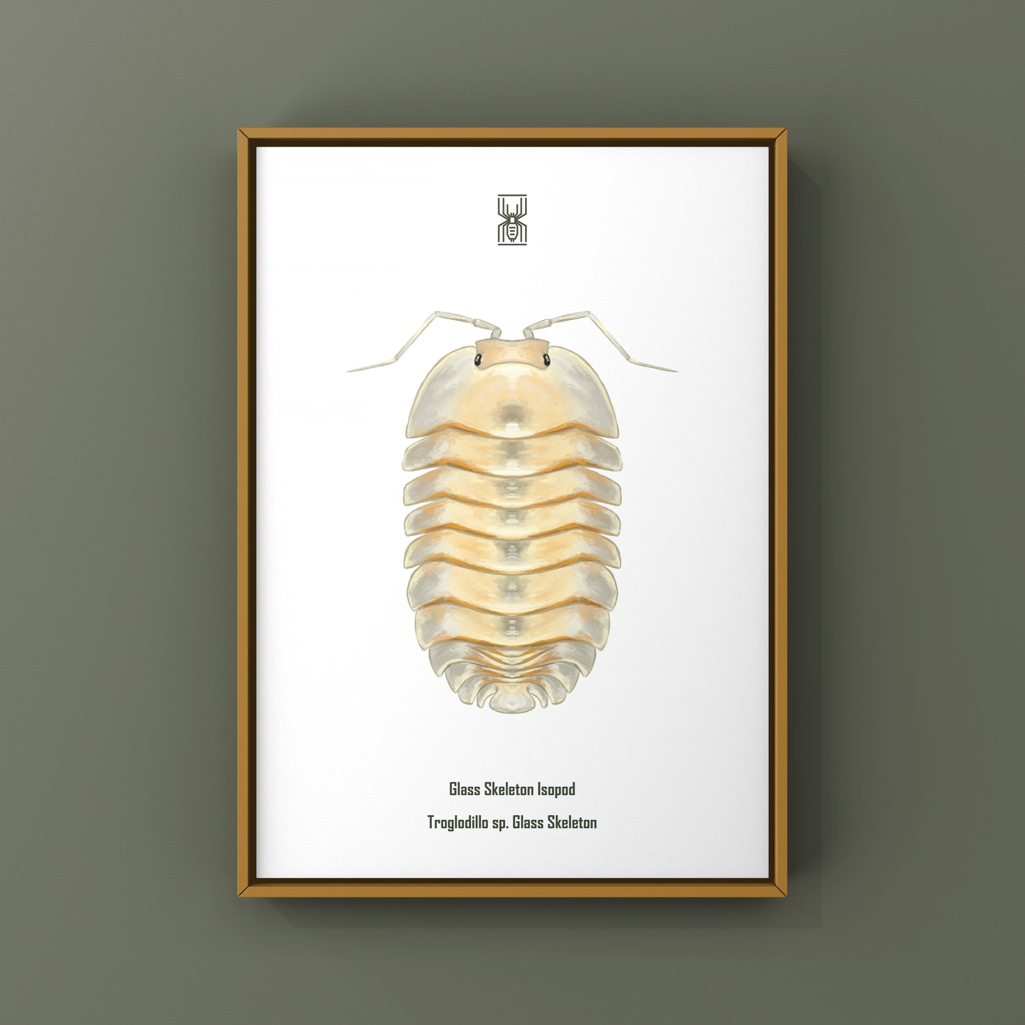Glass Skeleton Isopod art print featuring a detailed glass skeleton of Troglodillo sp. by The Silk Ranch